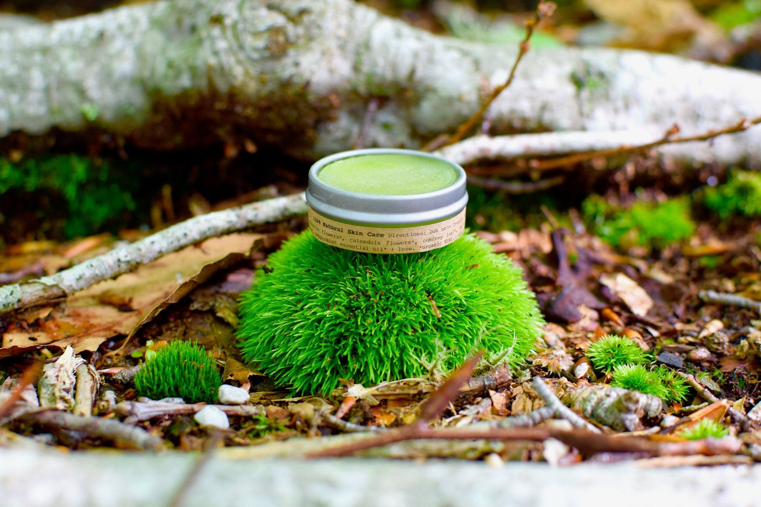 plant makeup Blemish Balm