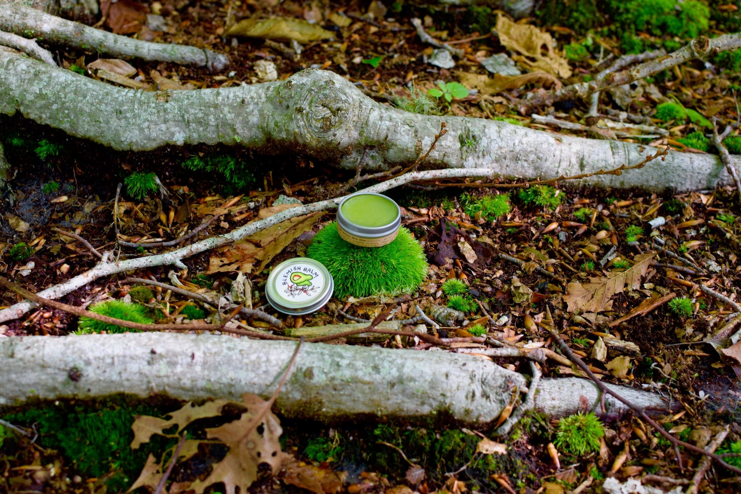 plant makeup Blemish Balm