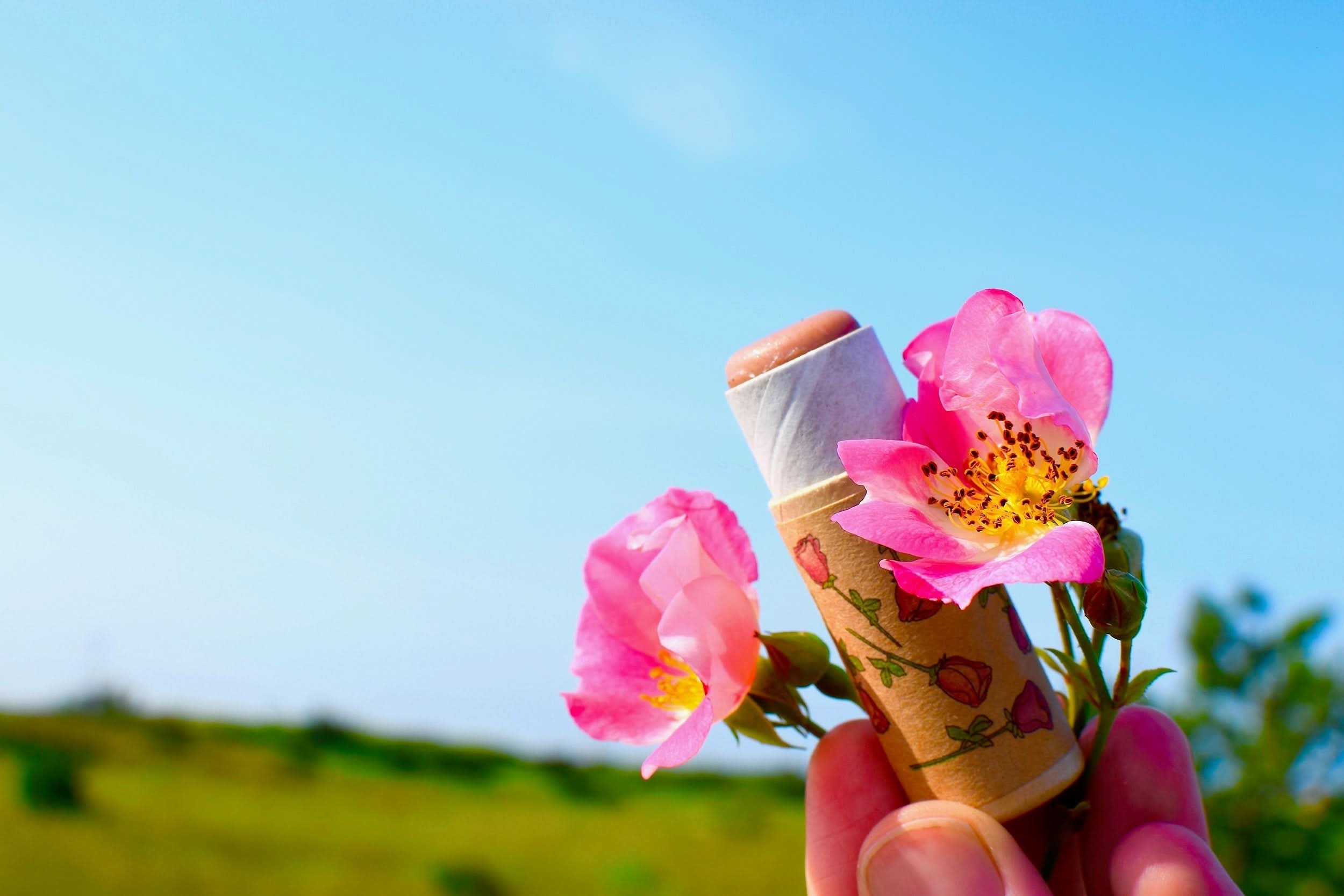 Pink Rose Lip Stick - My American Goods