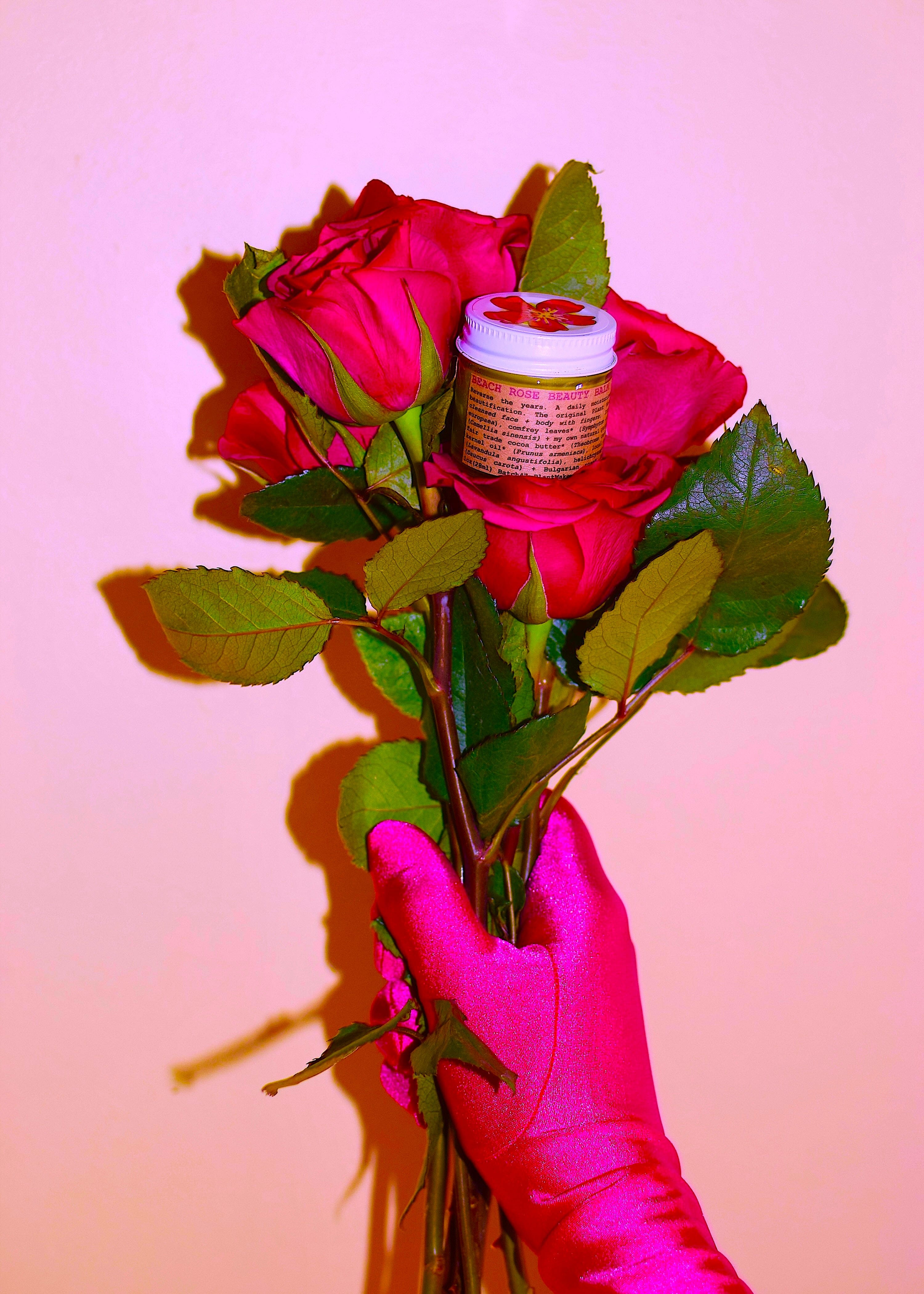 plant makeup Beach Rose Beauty Balm