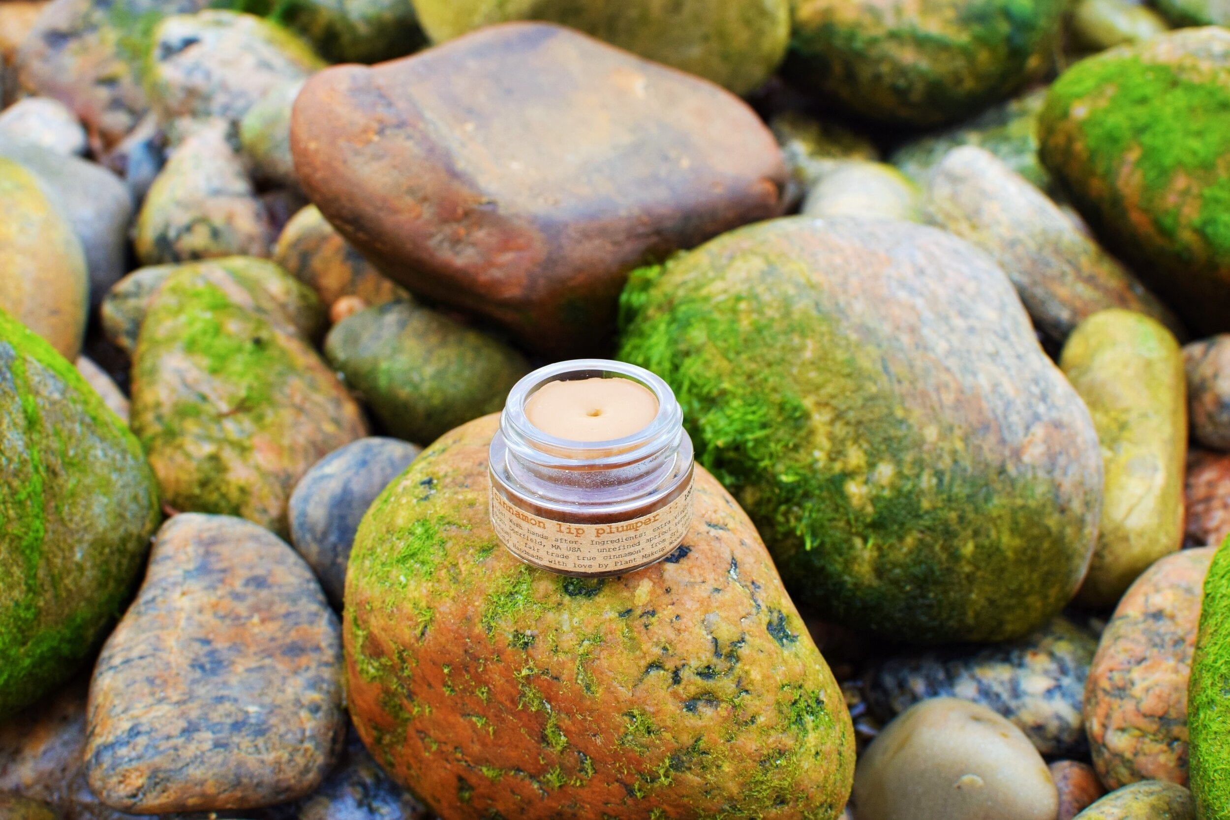 plant makeup Cinnamon Lip Plumper