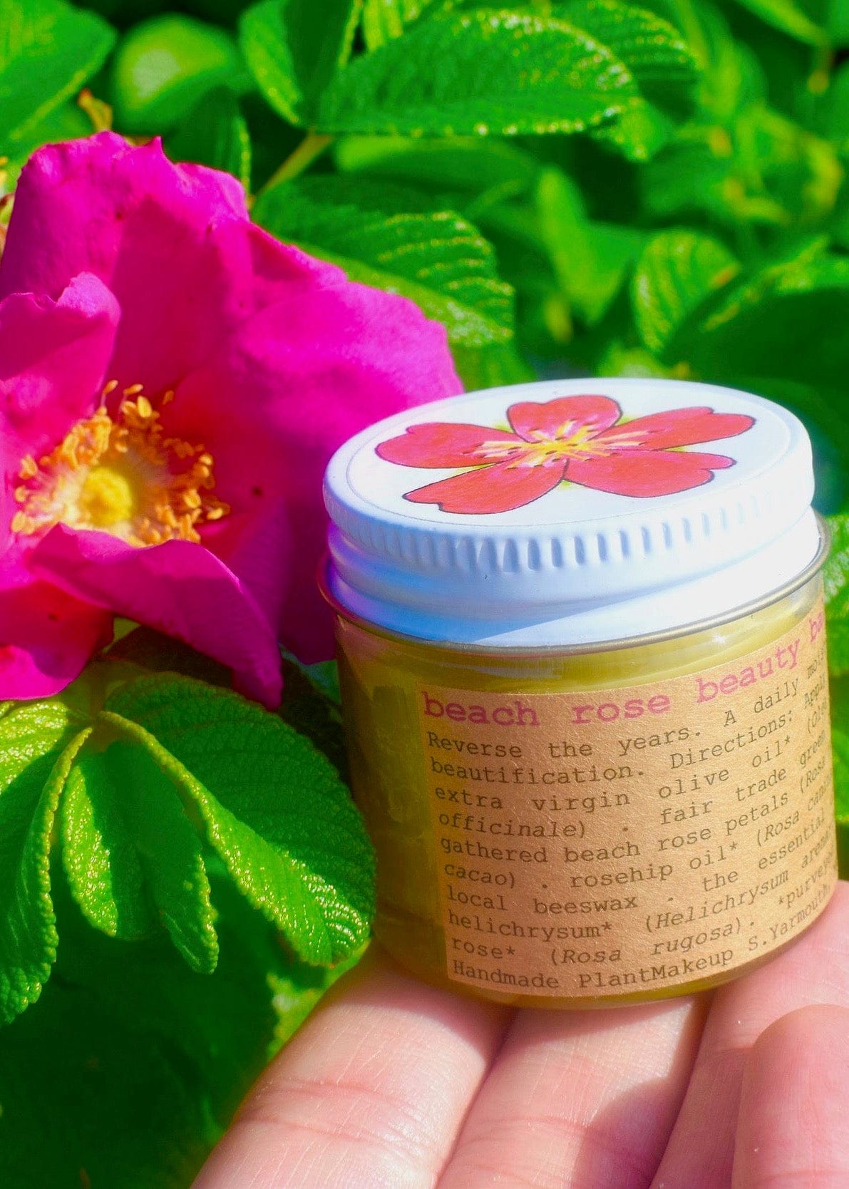 plant makeup Beach Rose Beauty Balm