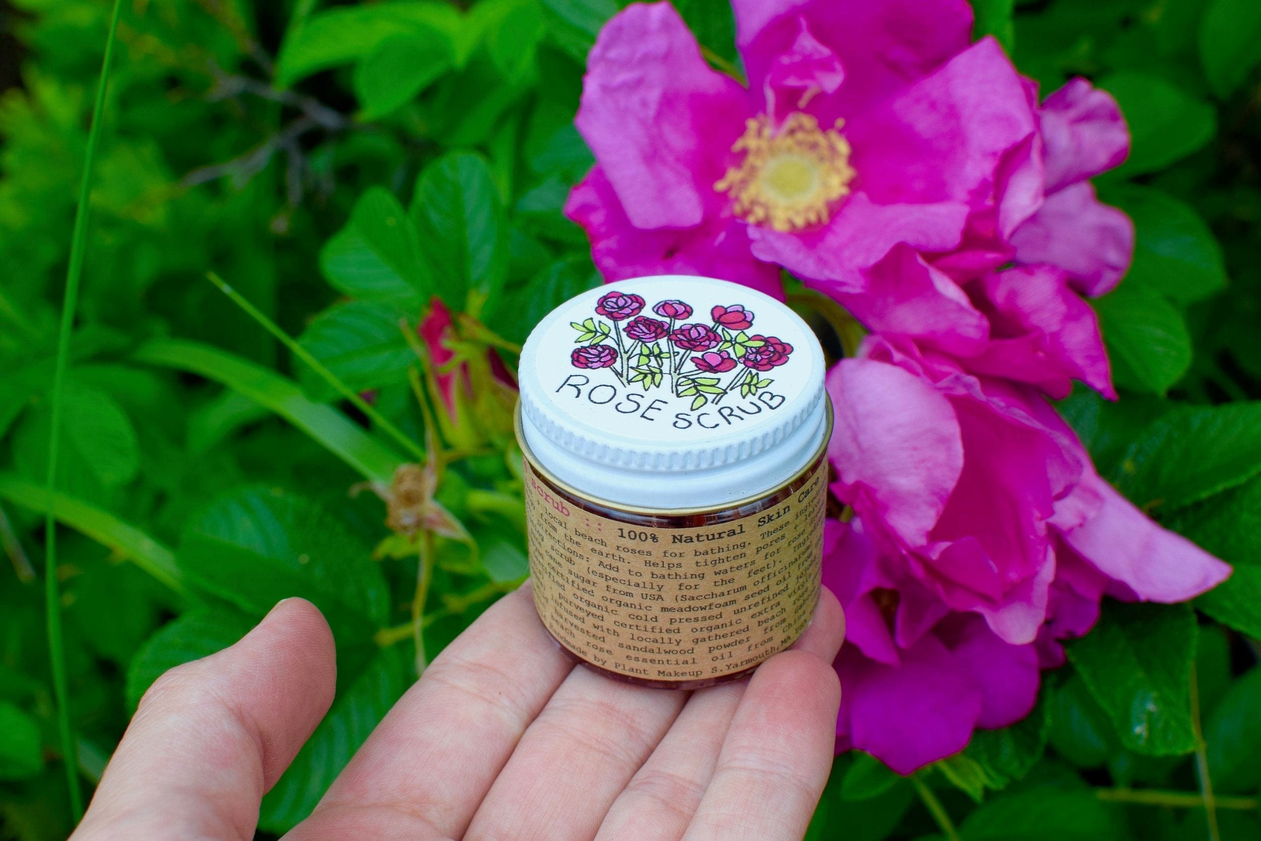 plant makeup Beach Rose Scrub