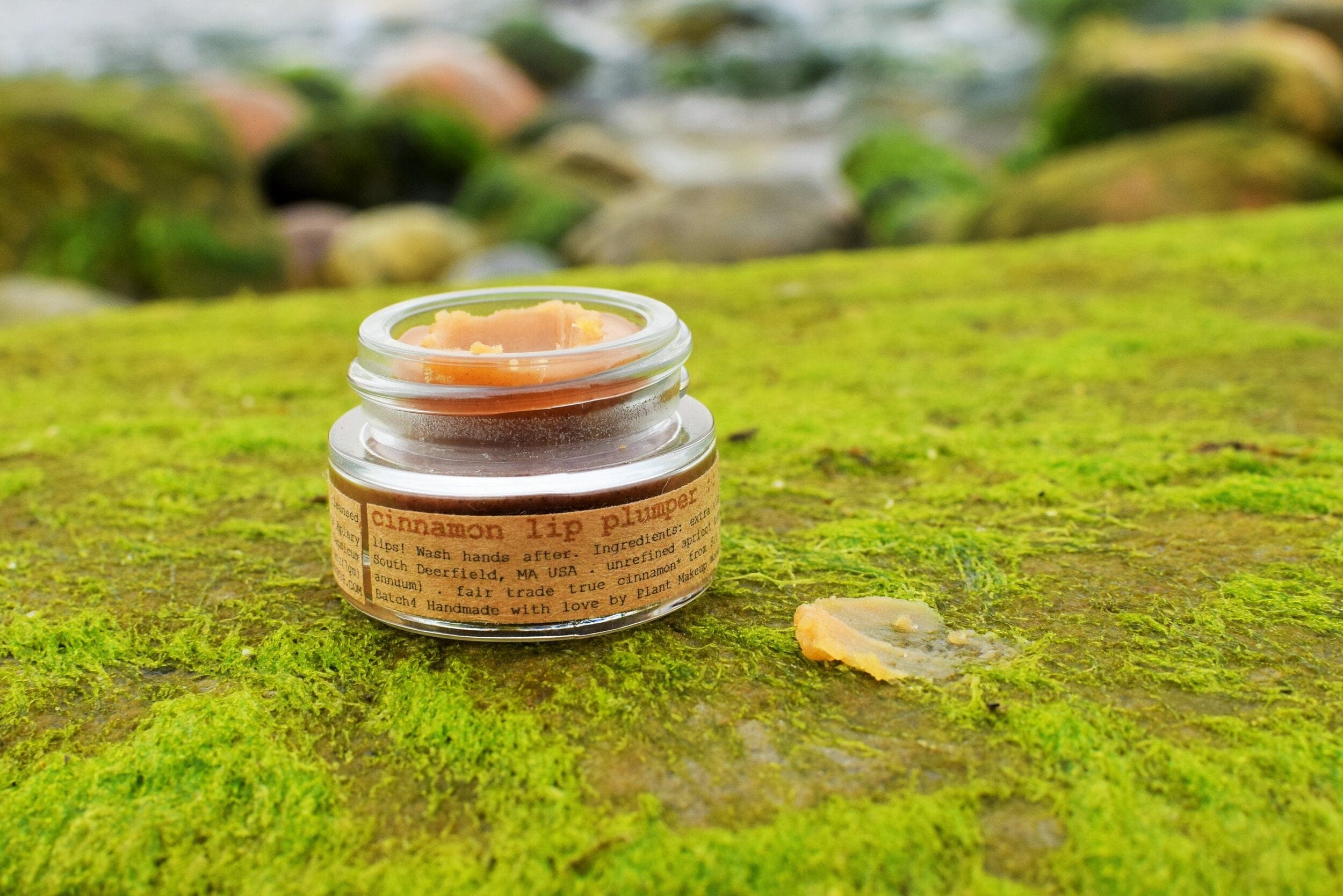 plant makeup Cinnamon Lip Plumper
