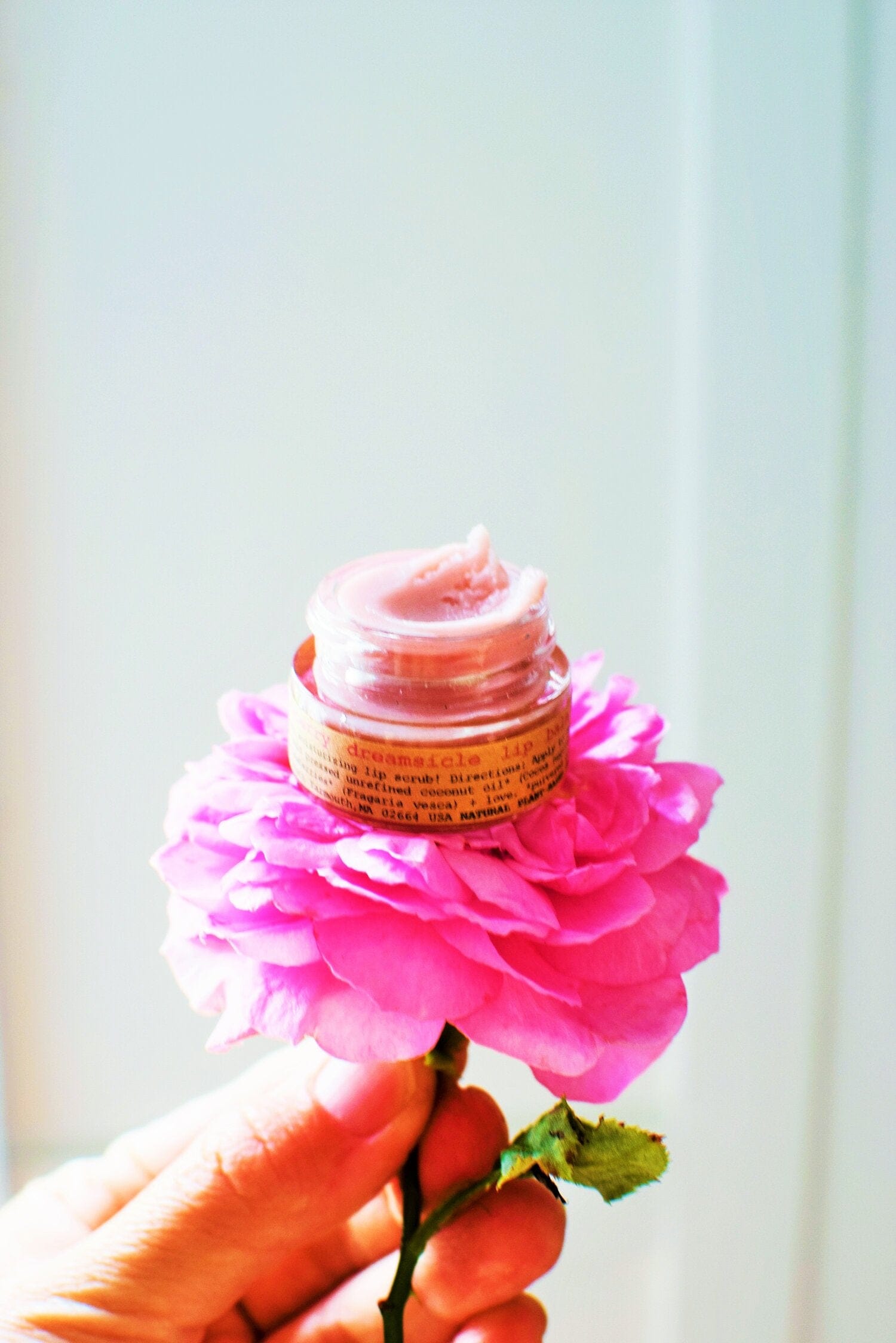 plant makeup Strawberry Dreamsicle Lip Balm Scrub