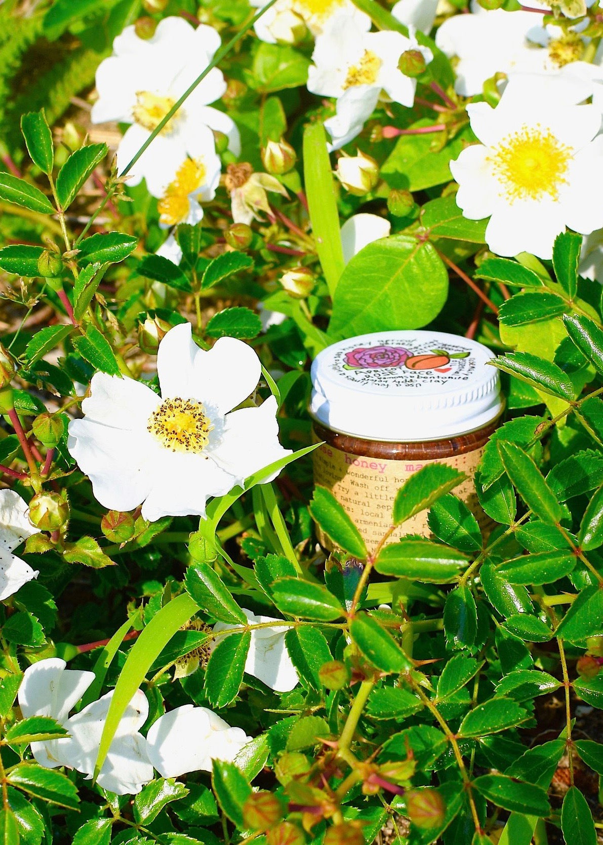 Apricot Rose Scrub Mask - My American Goods