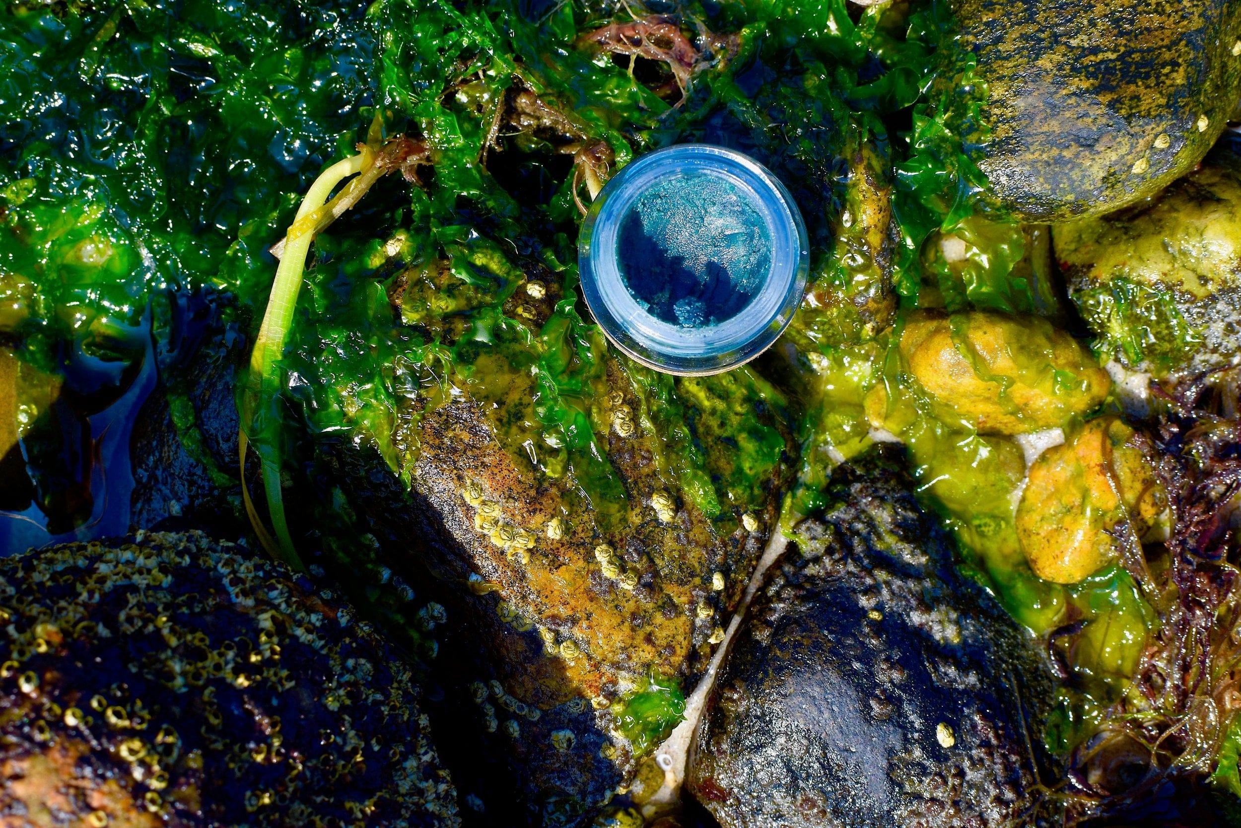 plant makeup Mermaid Makeup Balm