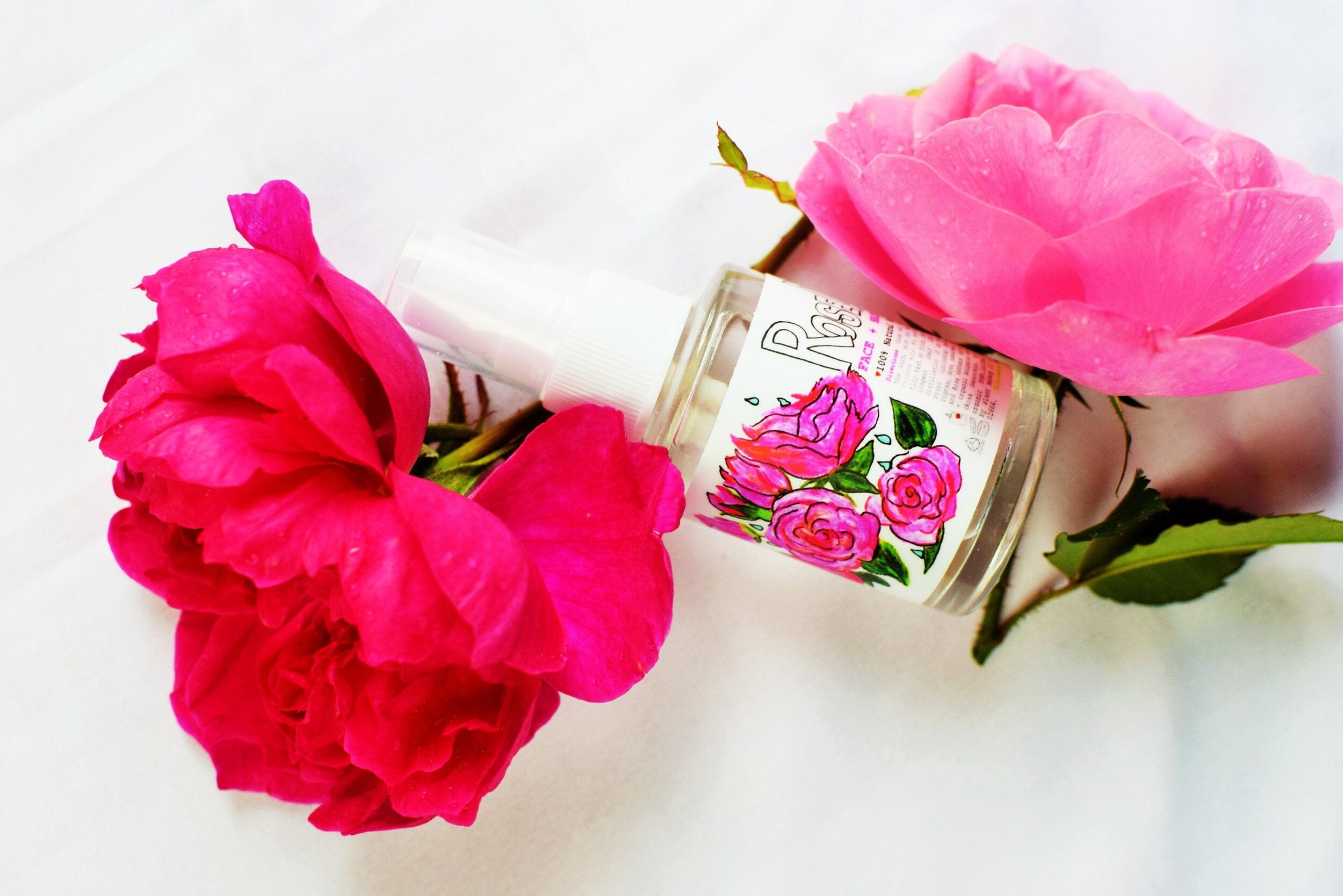 plant makeup Rose Dew Face + Hair Mist