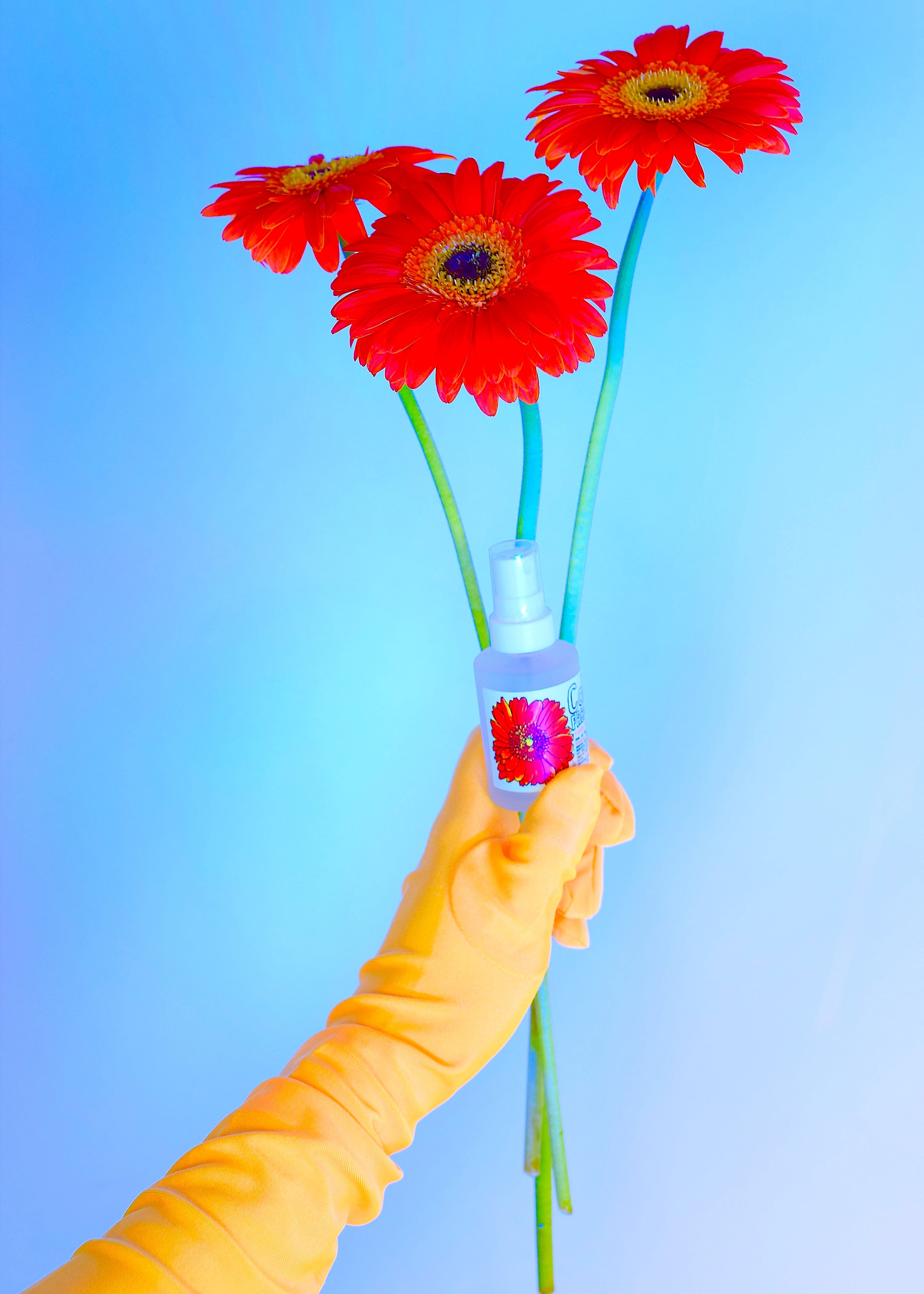 plant makeup Calendula Face + Body Mist