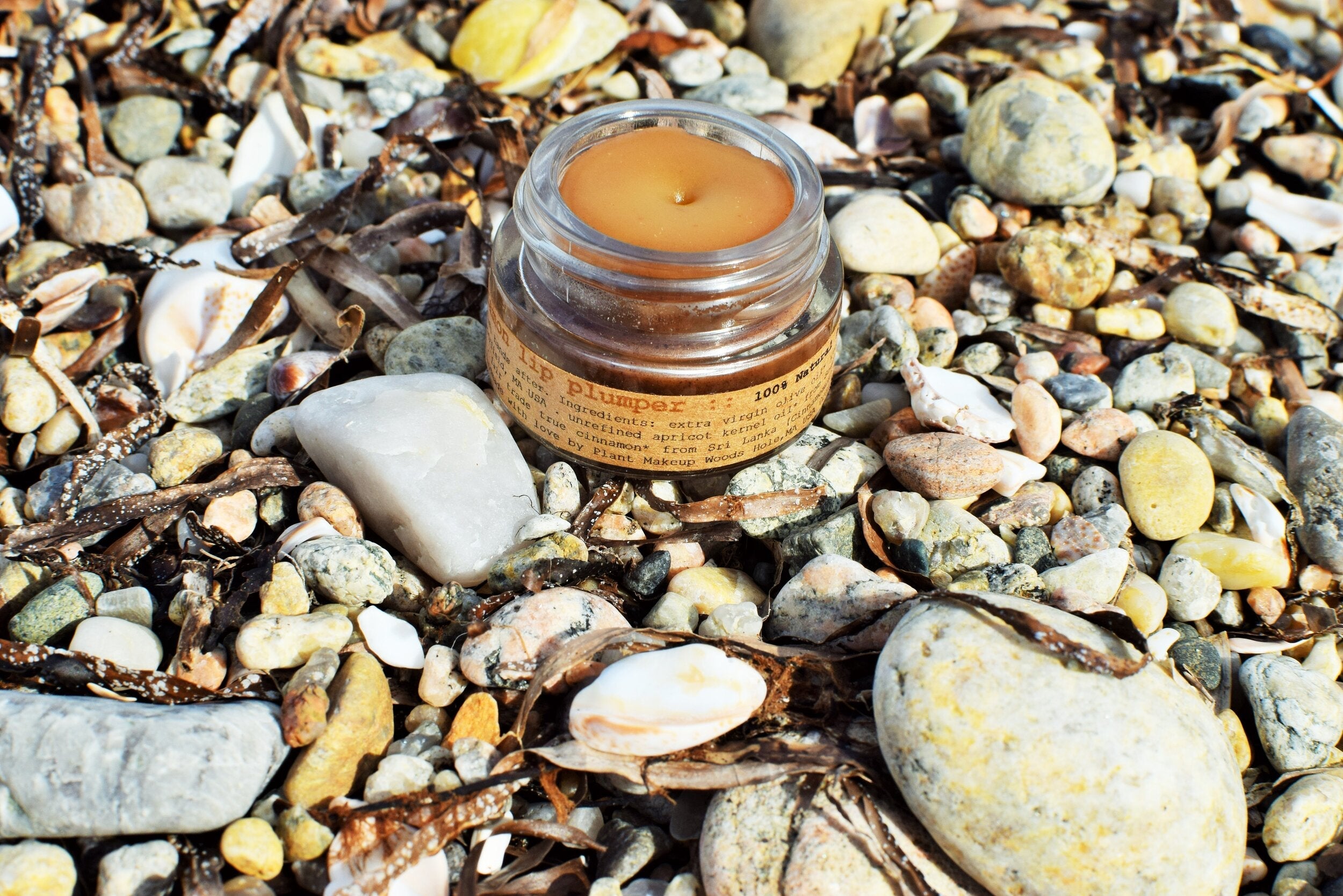 Cinnamon Lip Plumper - My American Goods