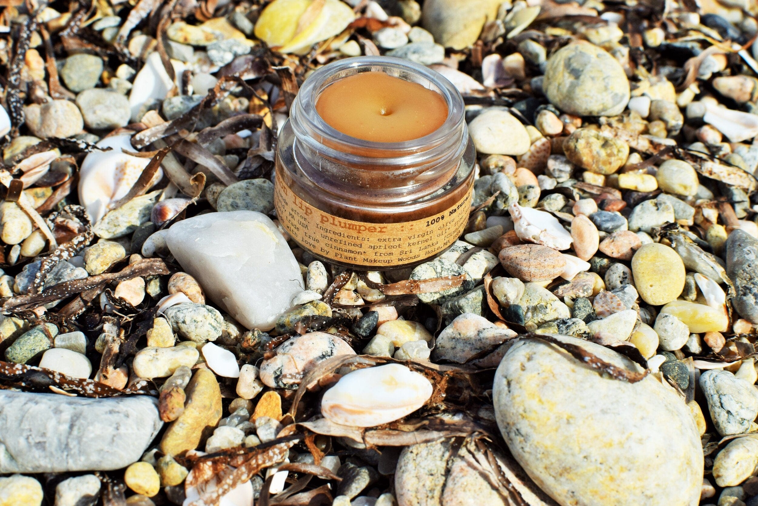 plant makeup Cinnamon Lip Plumper