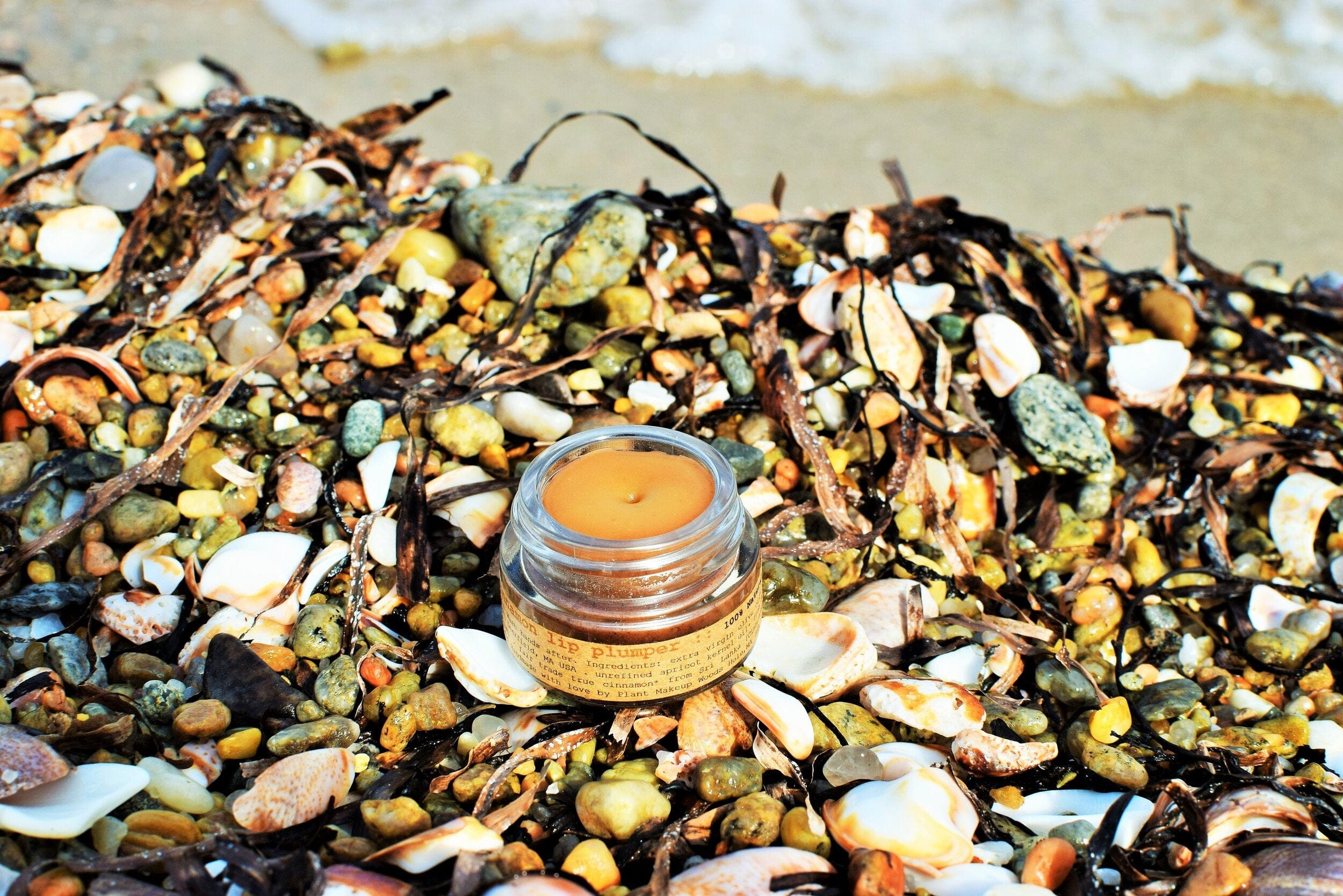 plant makeup Cinnamon Lip Plumper