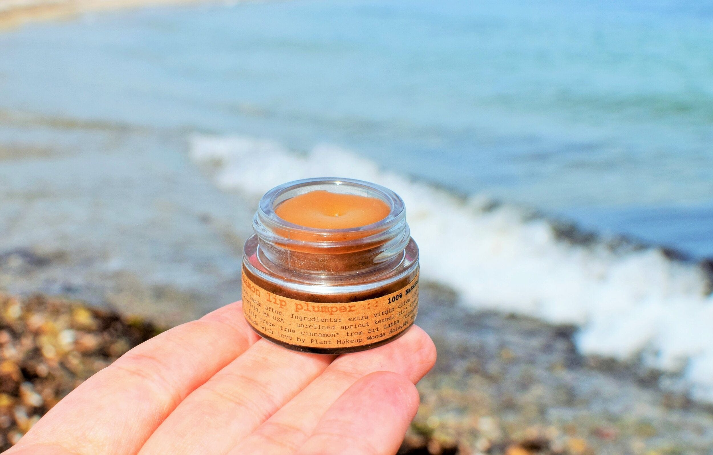 plant makeup Cinnamon Lip Plumper