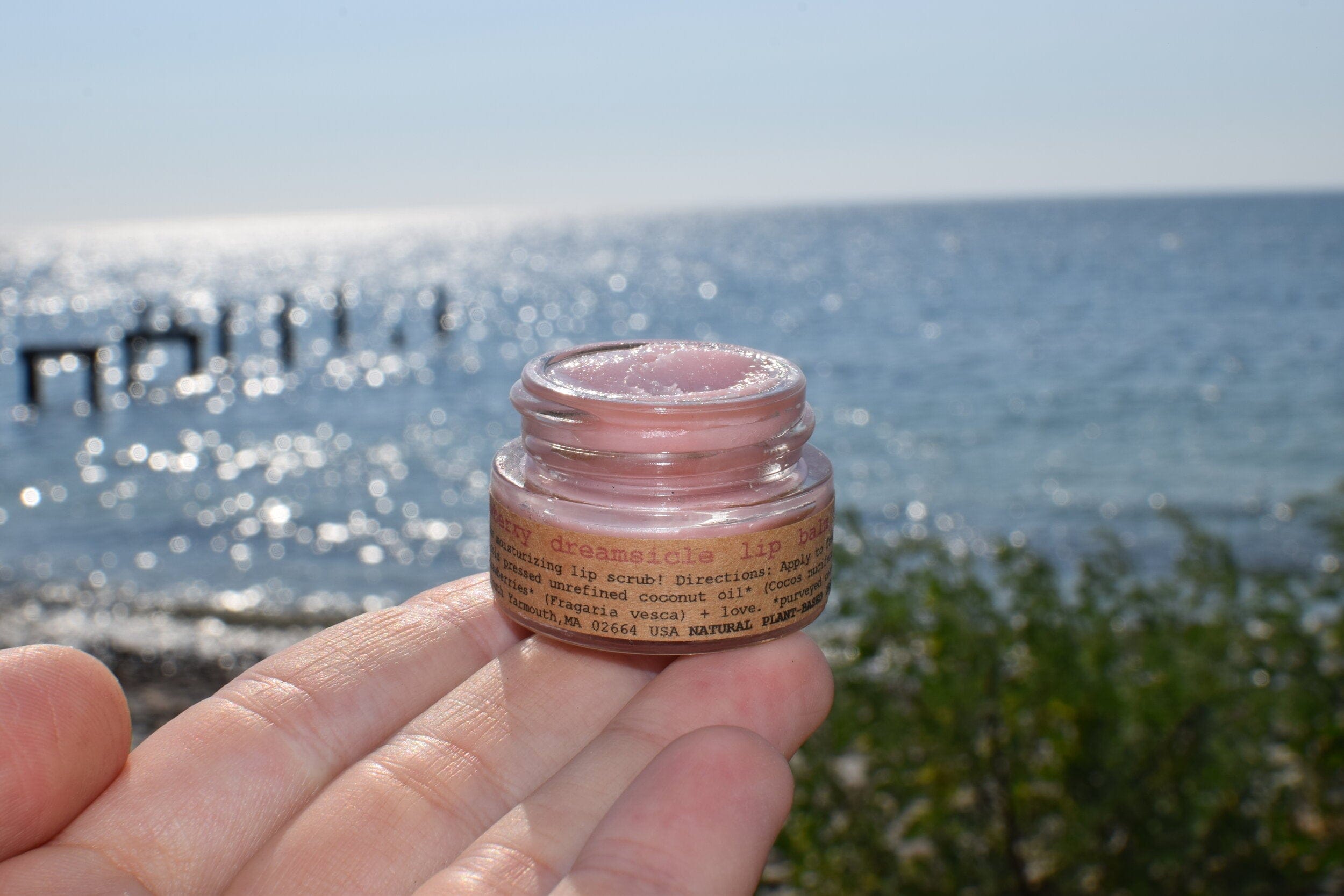 plant makeup Strawberry Dreamsicle Lip Balm Scrub