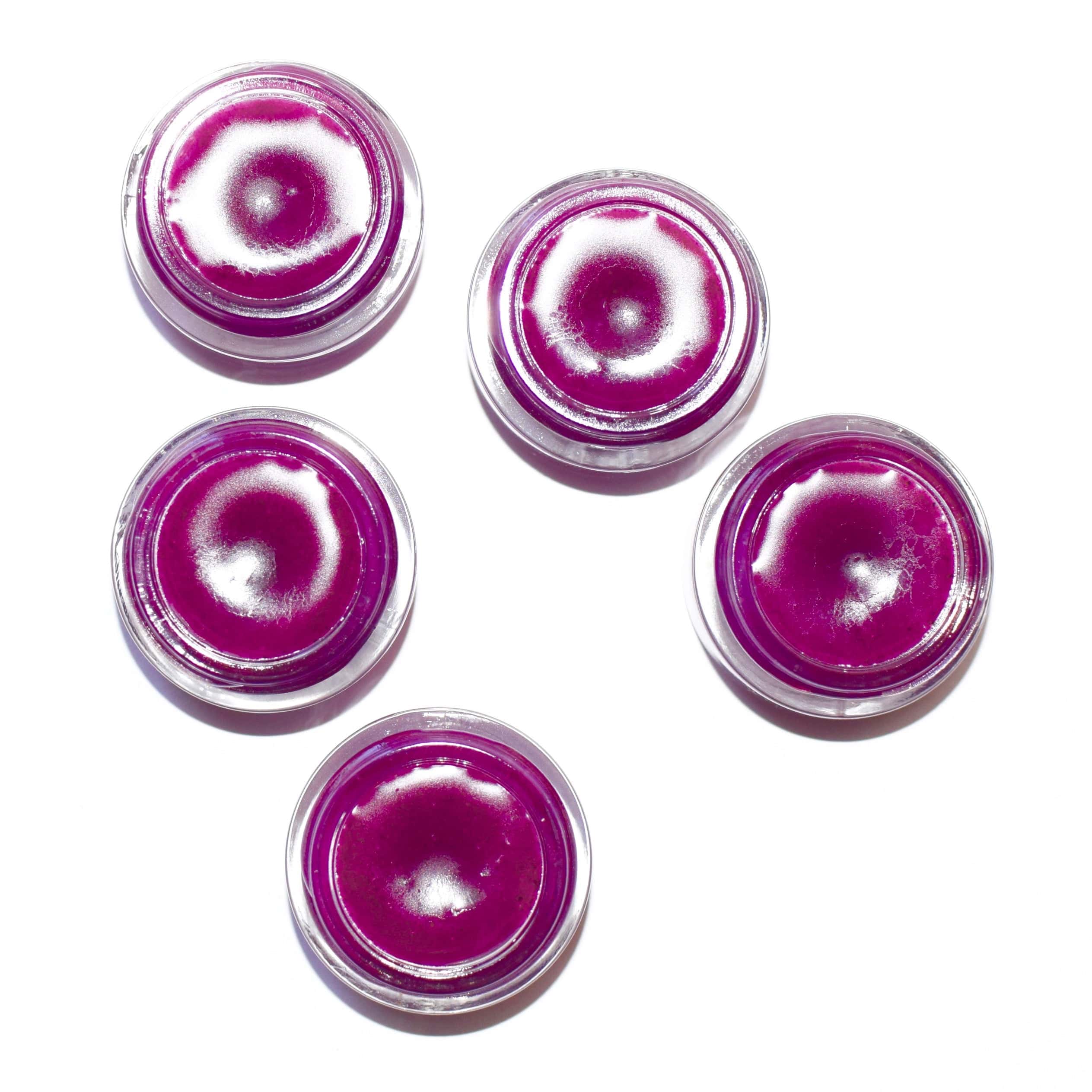 plant makeup Dragon Fruit Lip Gloss