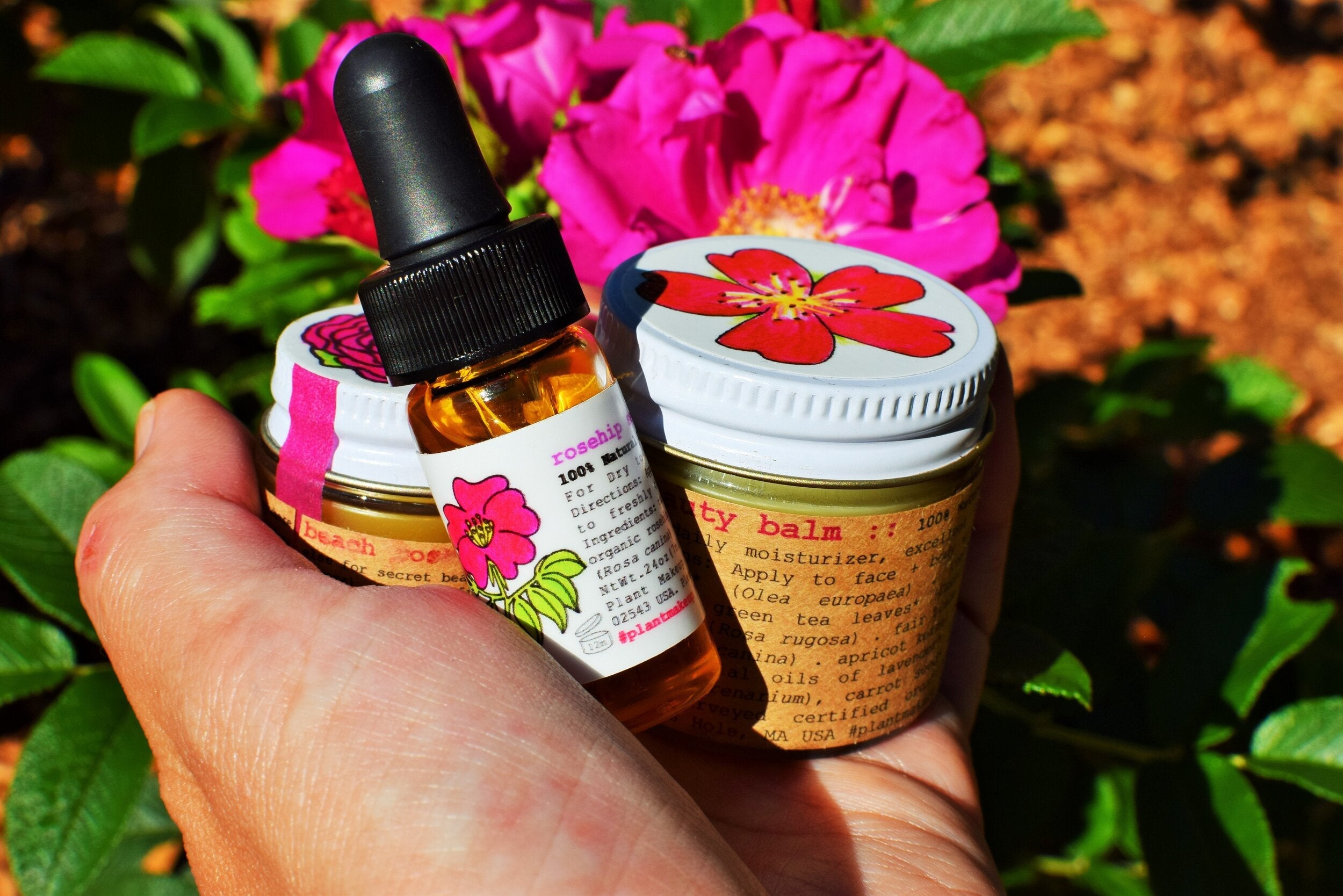 Rosehip Seed Oil - My American Goods