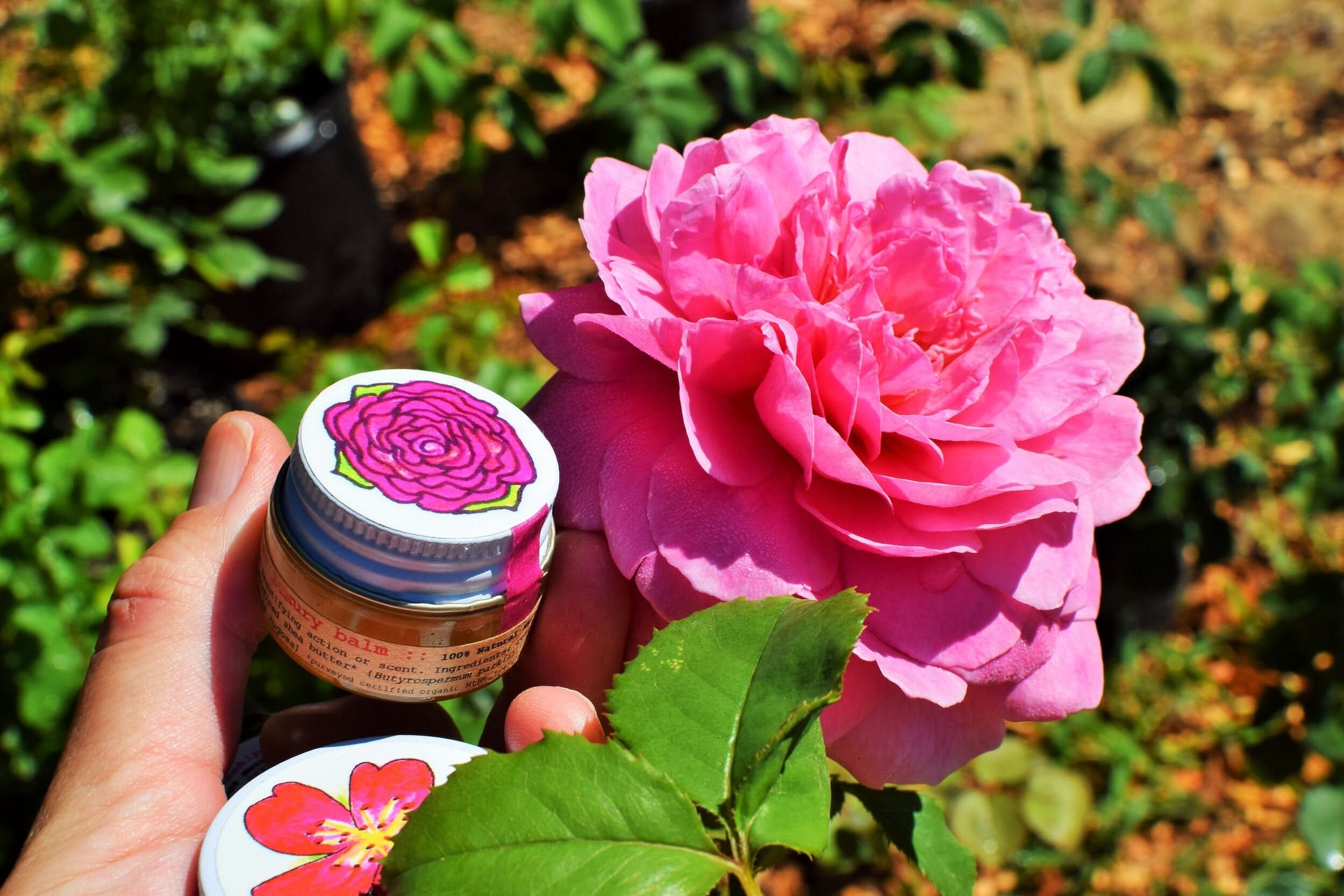 Beach Rose Luxury Balm - My American Goods