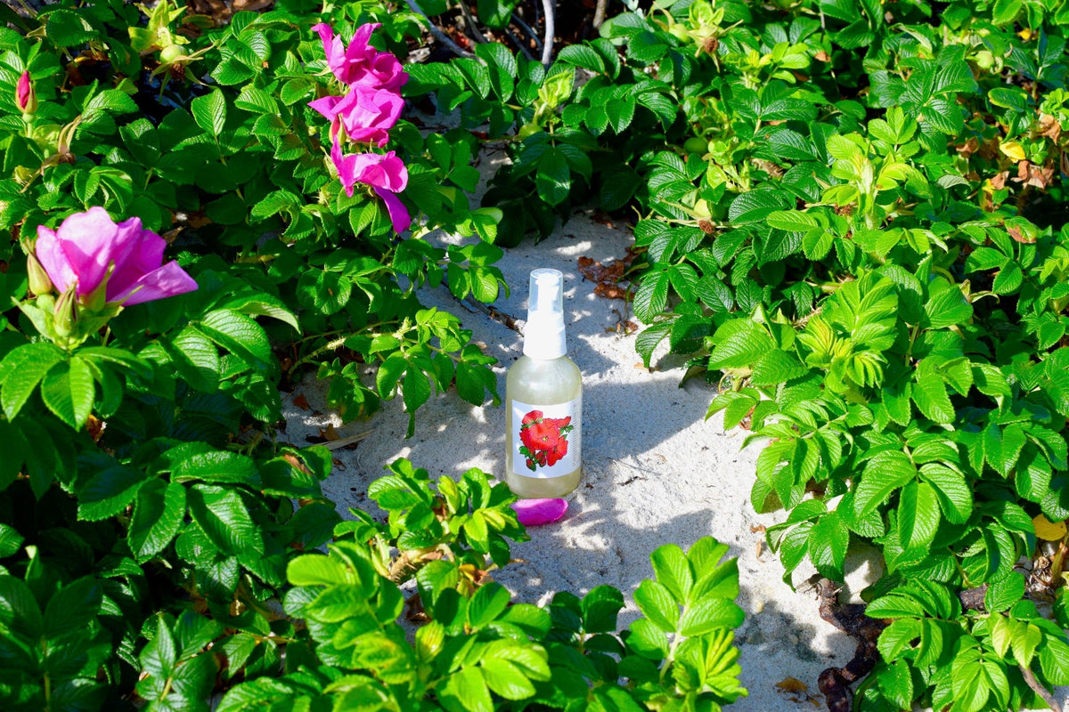 plant makeup Wild Rose Face Wash