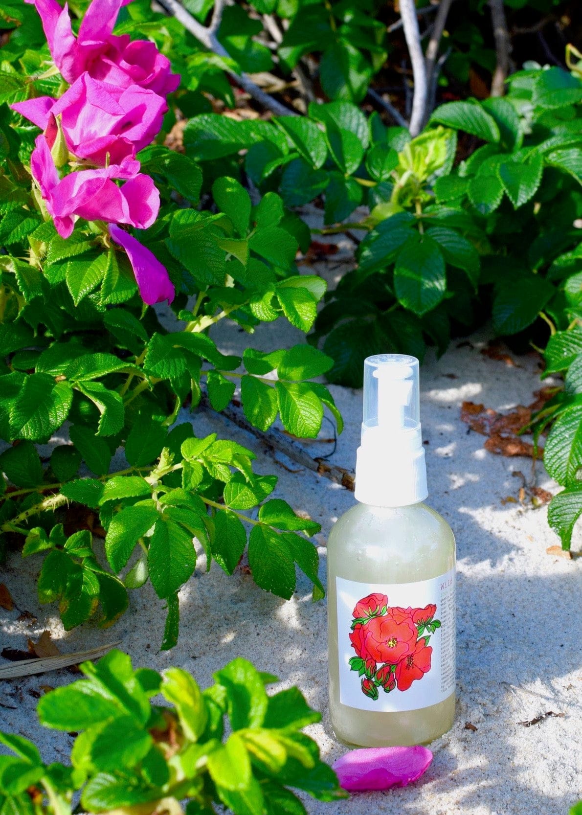 plant makeup Wild Rose Face Wash