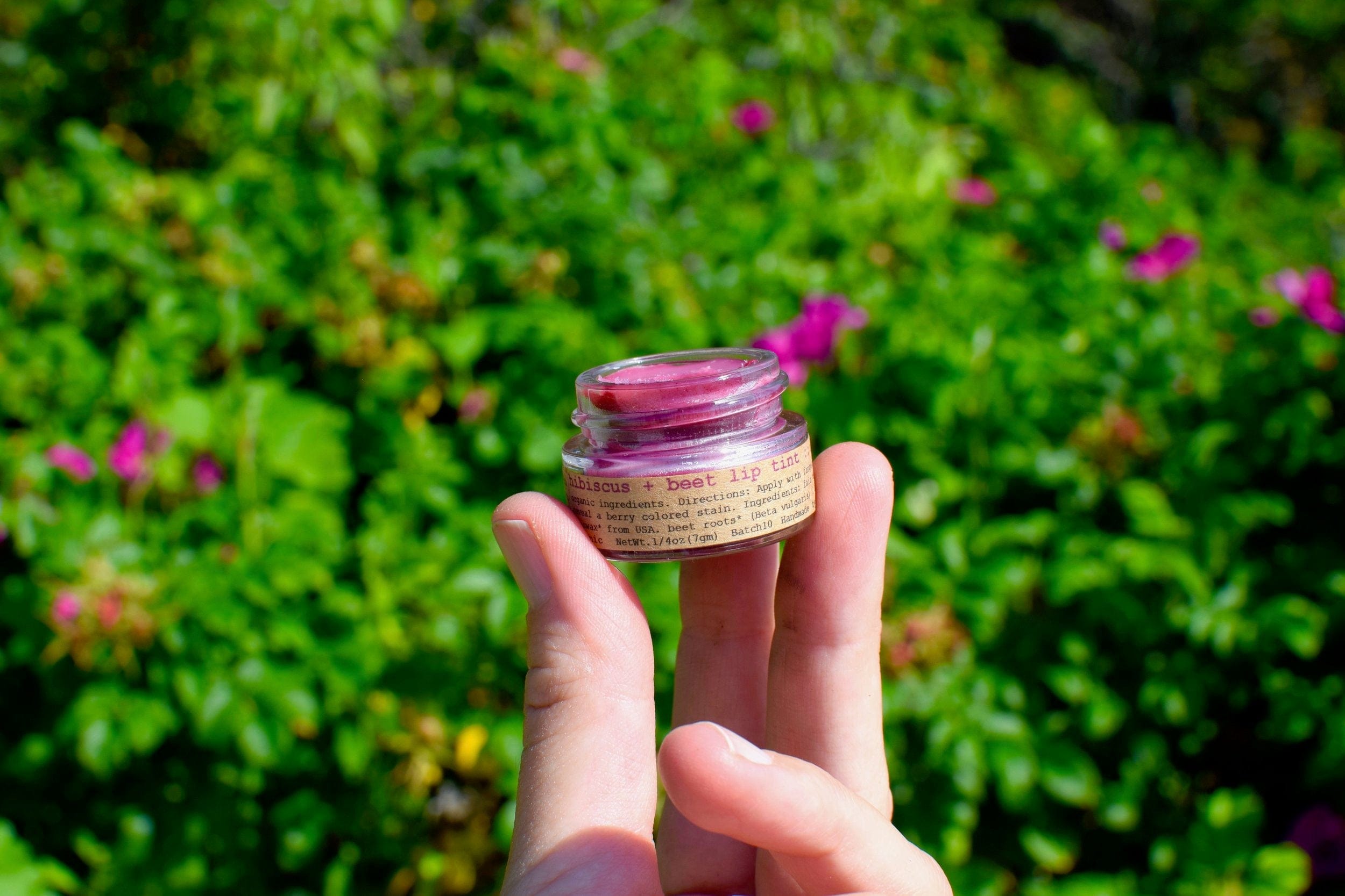 plant makeup Hibiscus + Beet Lip Tint