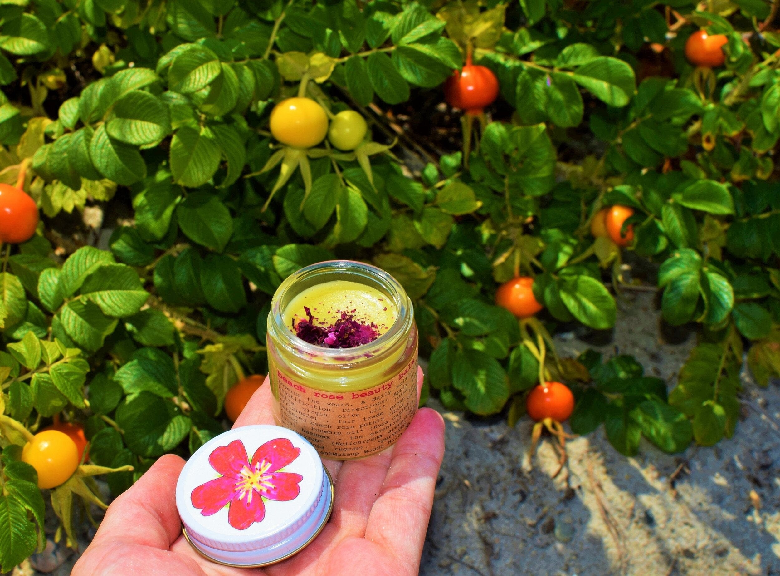 plant makeup Beach Rose Beauty Balm
