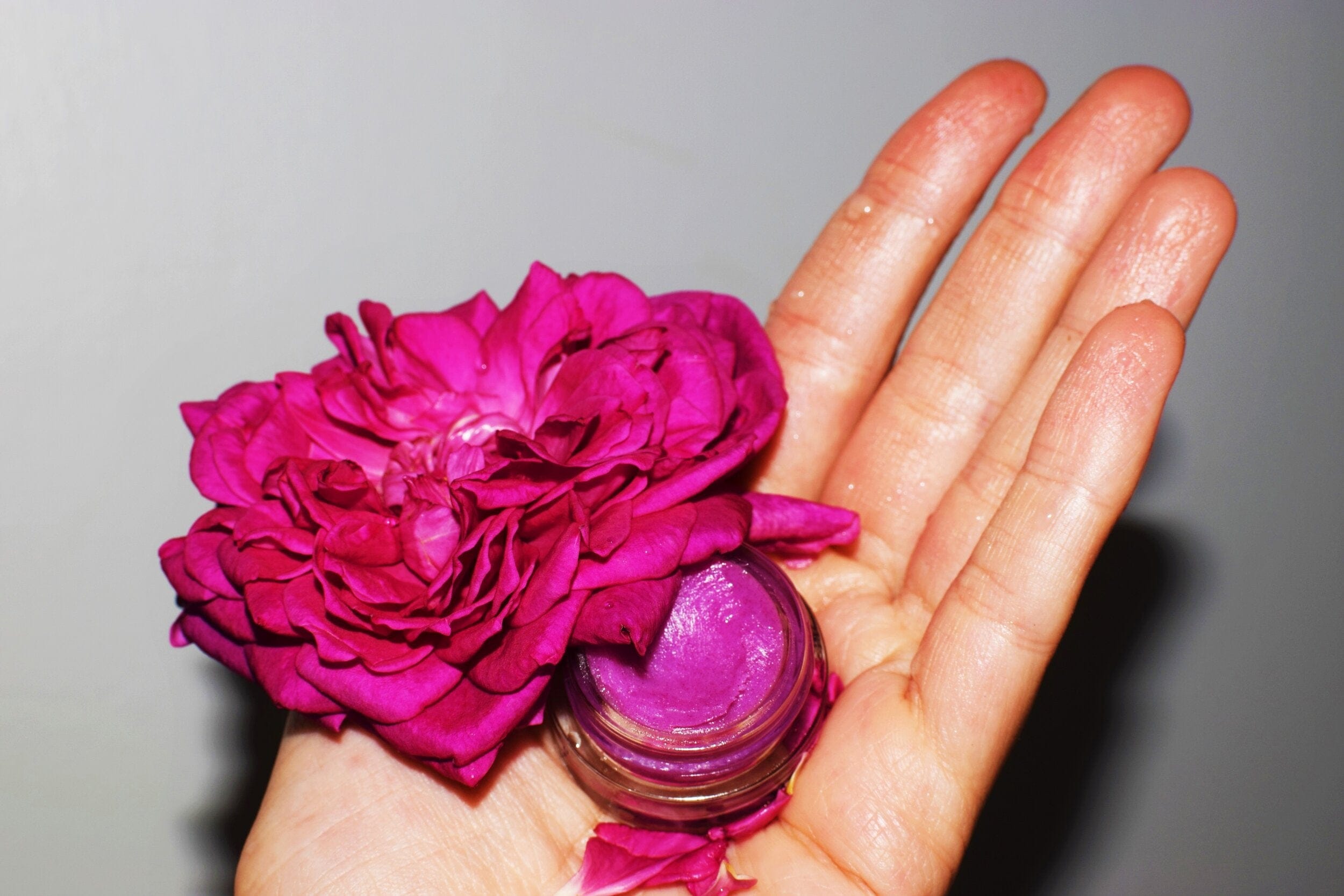 plant makeup Dragon Fruit Lip Gloss