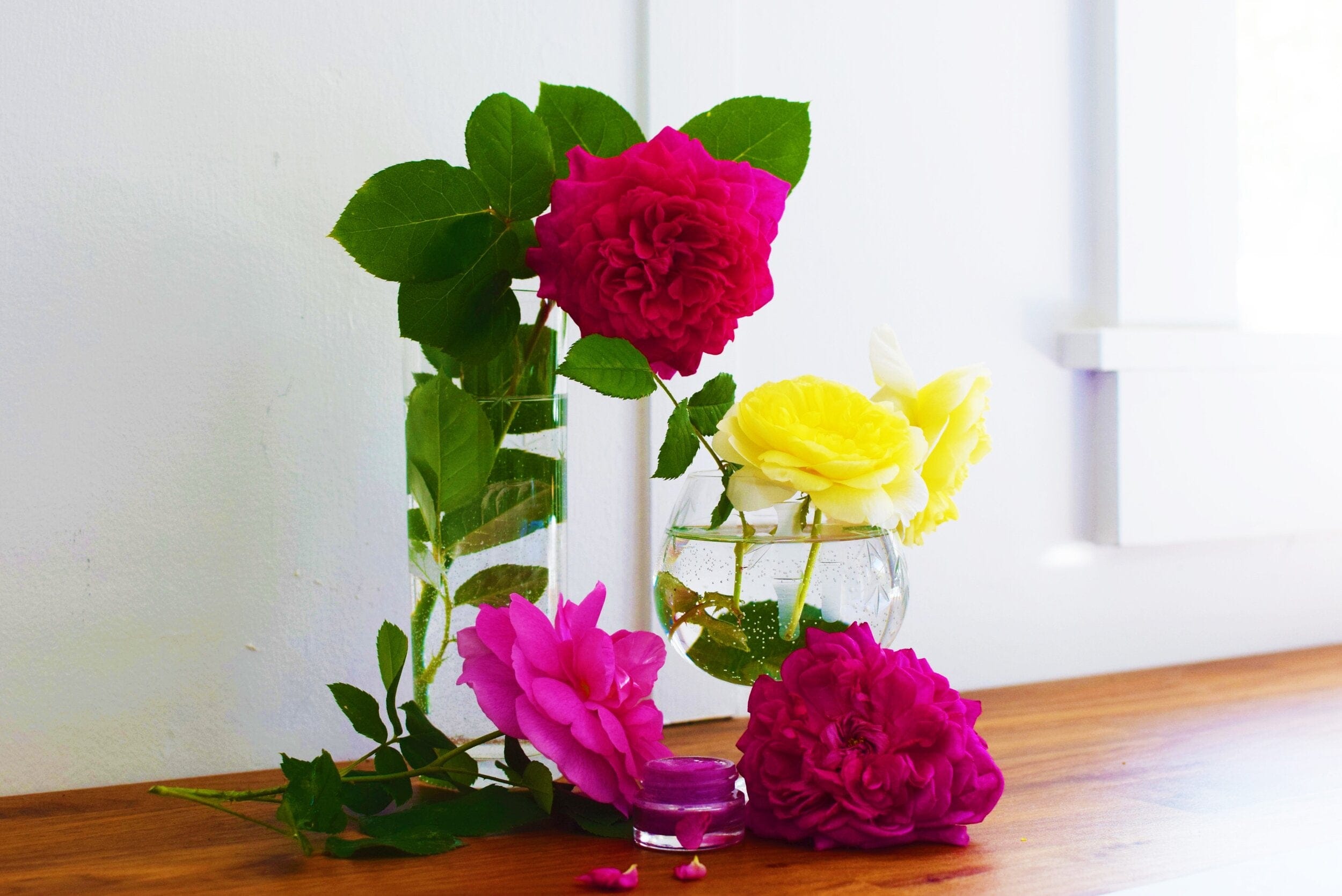 plant makeup Dragon Fruit Lip Gloss
