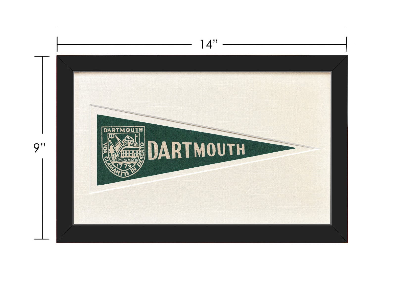 Americana Memories Vintage Dartmouth Hormel Pennant