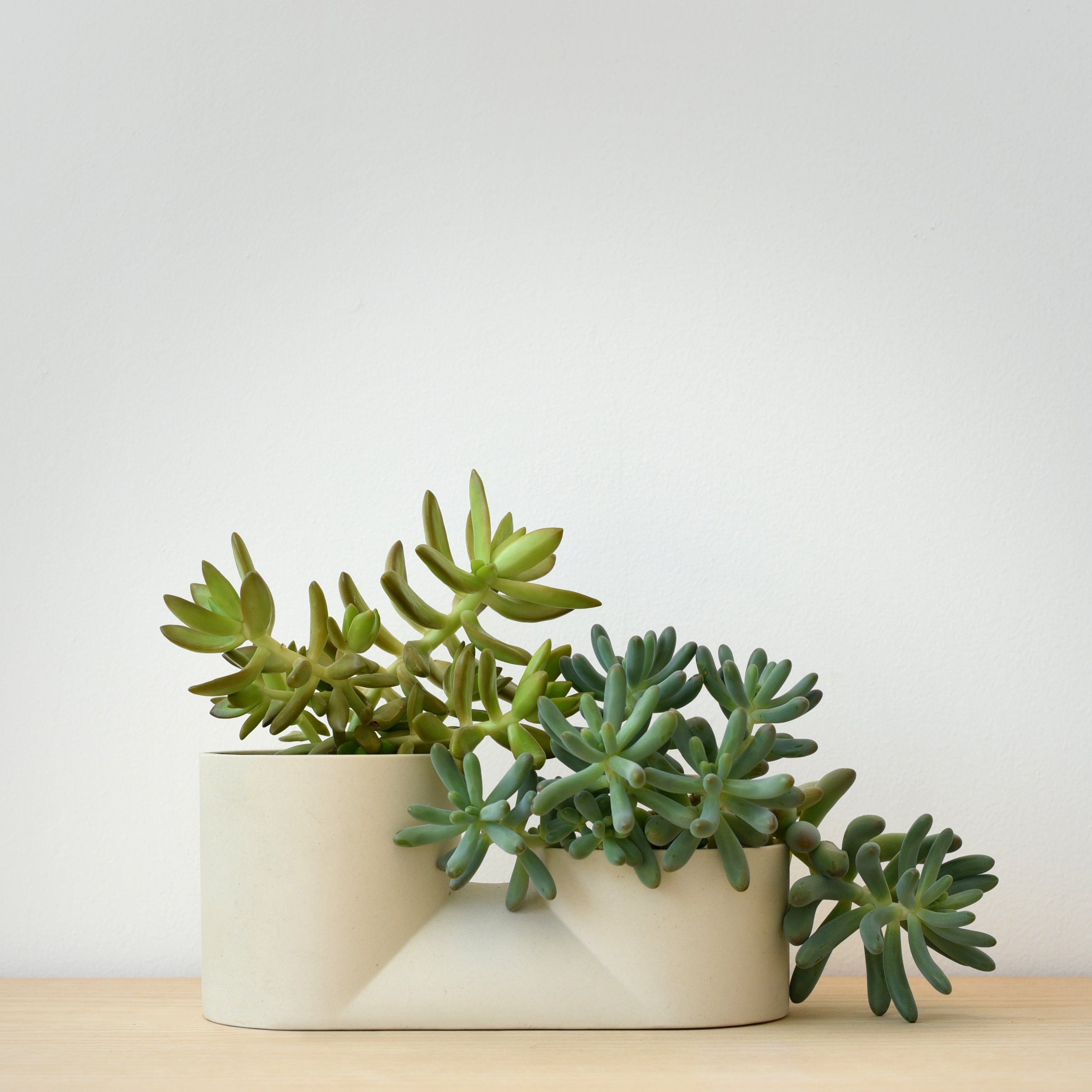 Misewell Pots & Planters Double Planter