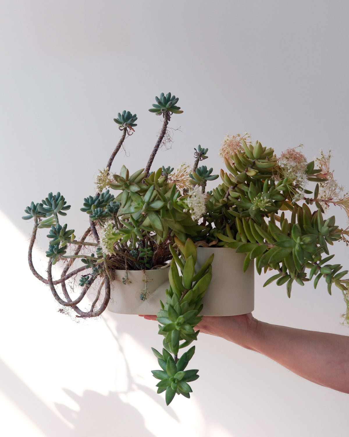 Double Planter