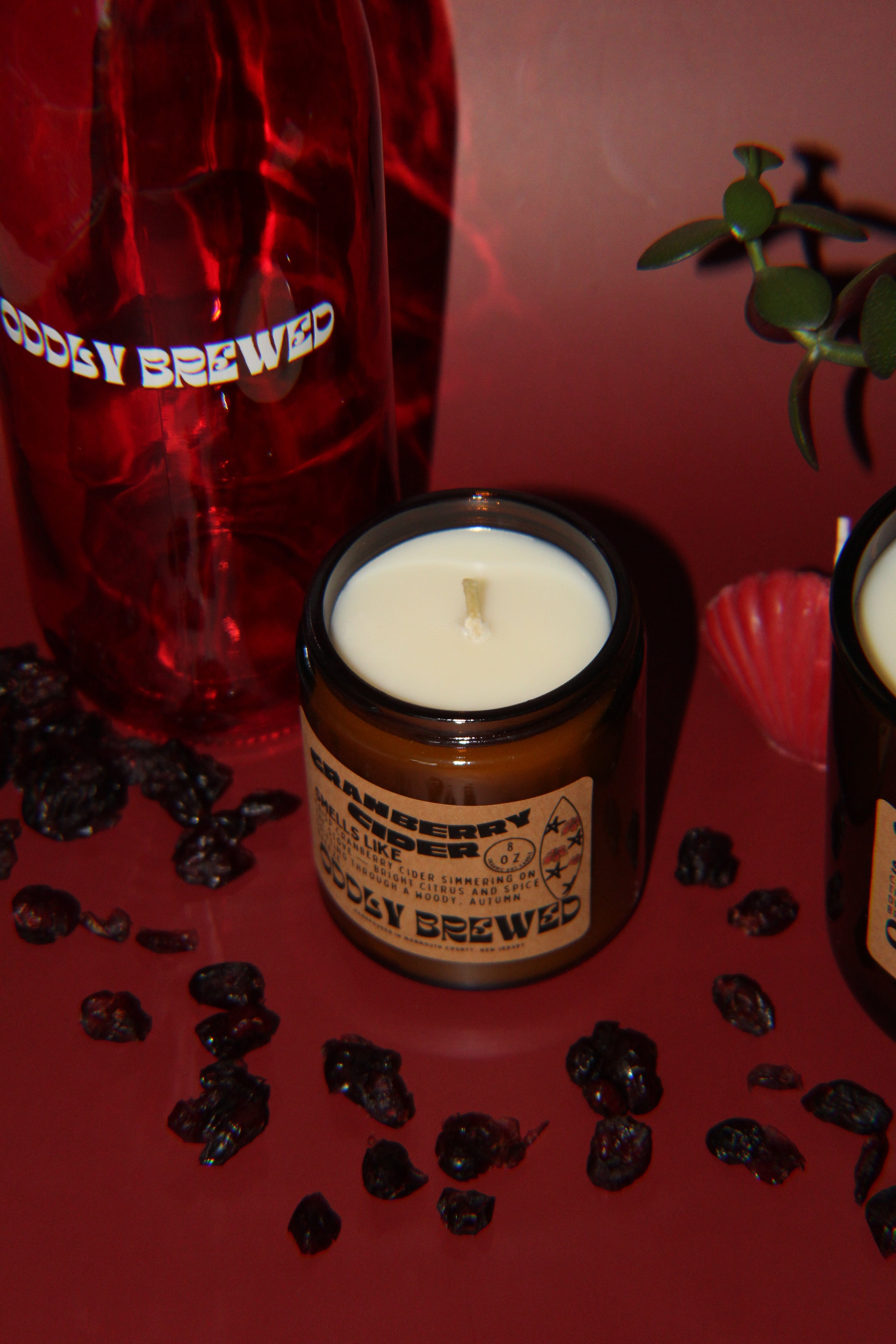 Cranberry Cider Soy Candle