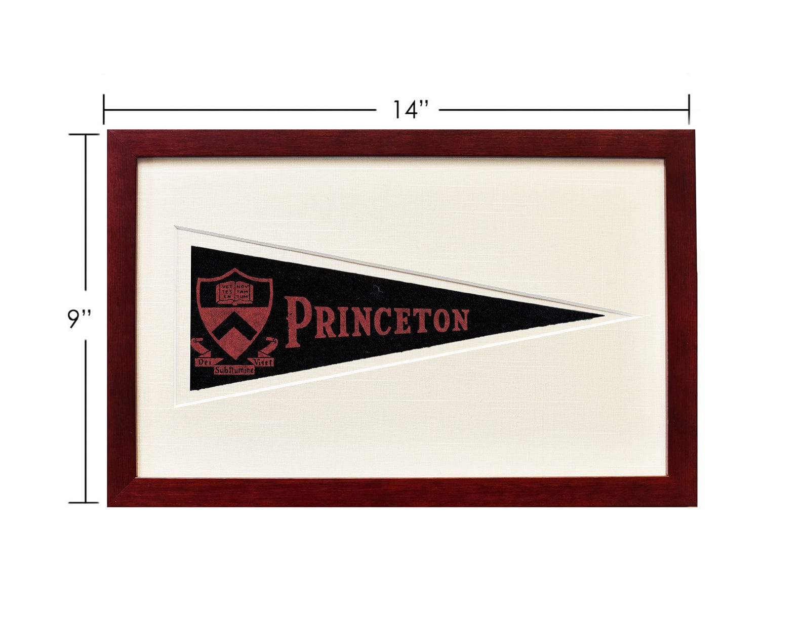 Americana Memories Vintage Princeton University Hormel Pennant