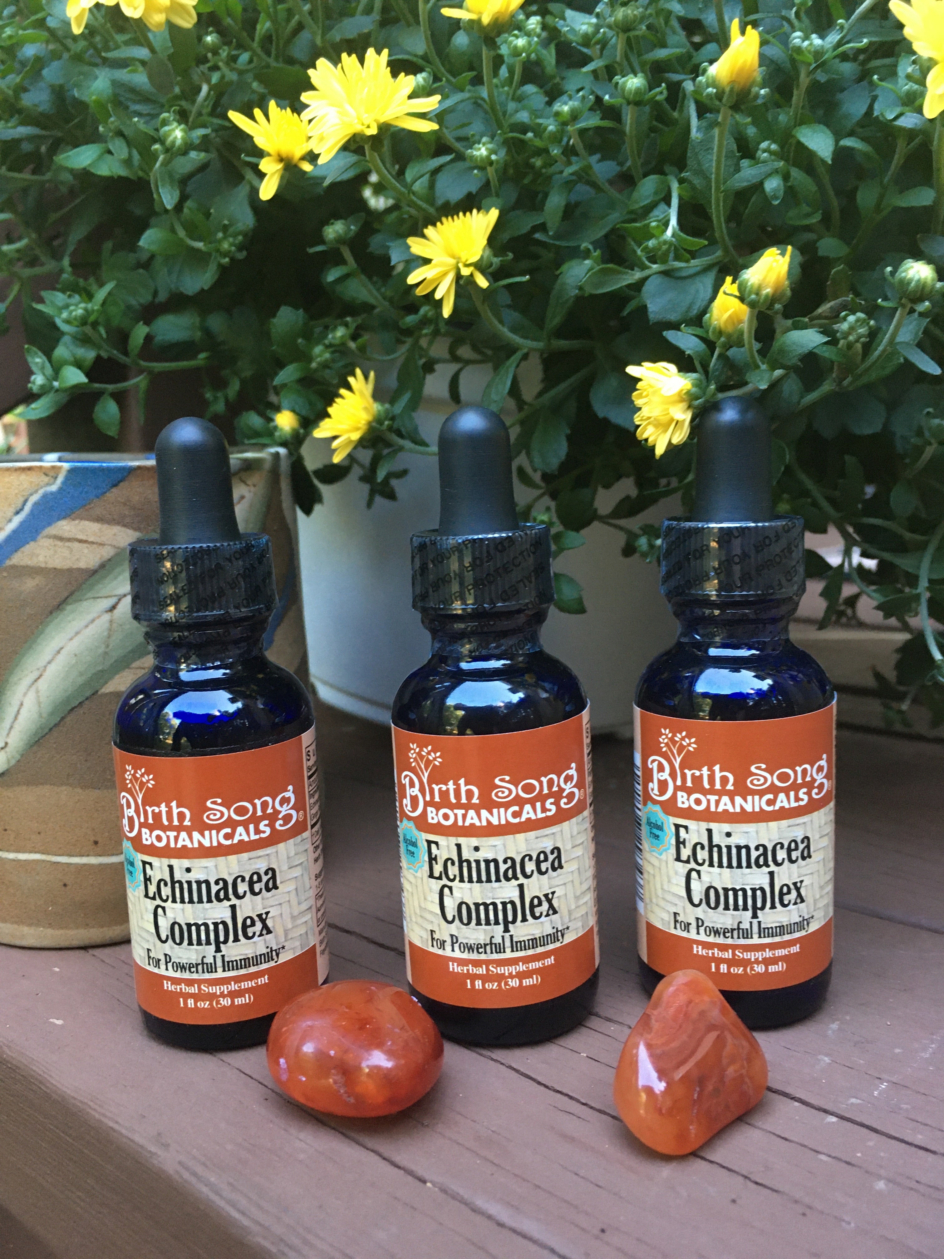 Echinacea Complex Herbal Tincture Liquid Echinacea Root Extract - My American Goods