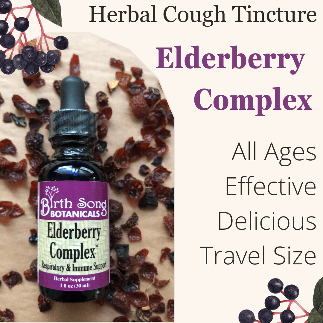 Birth Song Botanicals Co. Tinctures Elderberry Complex Herbal Tincture – Black Elderberry & Rose Hips (1 oz)