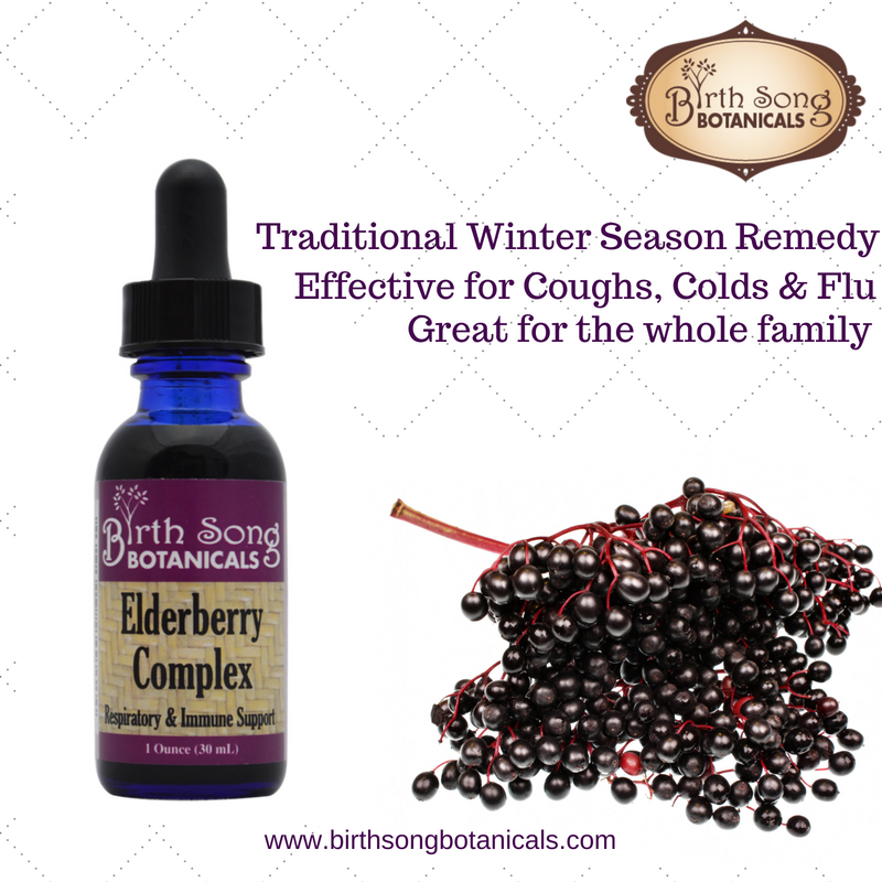 Elderberry Complex Tincture Potent Herbal Immune Support Supplement to Maintain Health and Well-Being* 1 oz. - My American Goods
