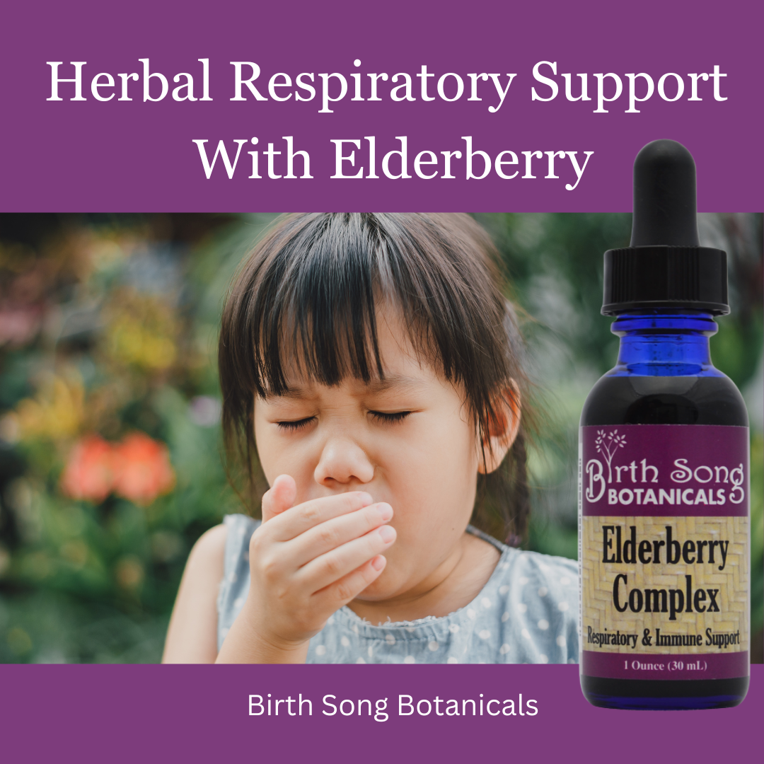 Elderberry Complex Tincture Potent Herbal Immune Support Supplement to Maintain Health and Well-Being* 1 oz. - My American Goods