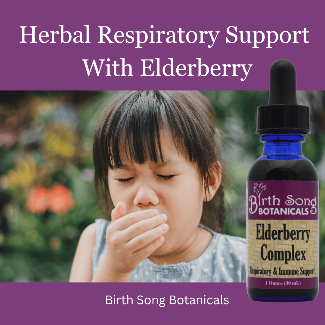 Birth Song Botanicals Co. Tinctures Elderberry Complex Herbal Tincture – Black Elderberry & Rose Hips (1 oz)