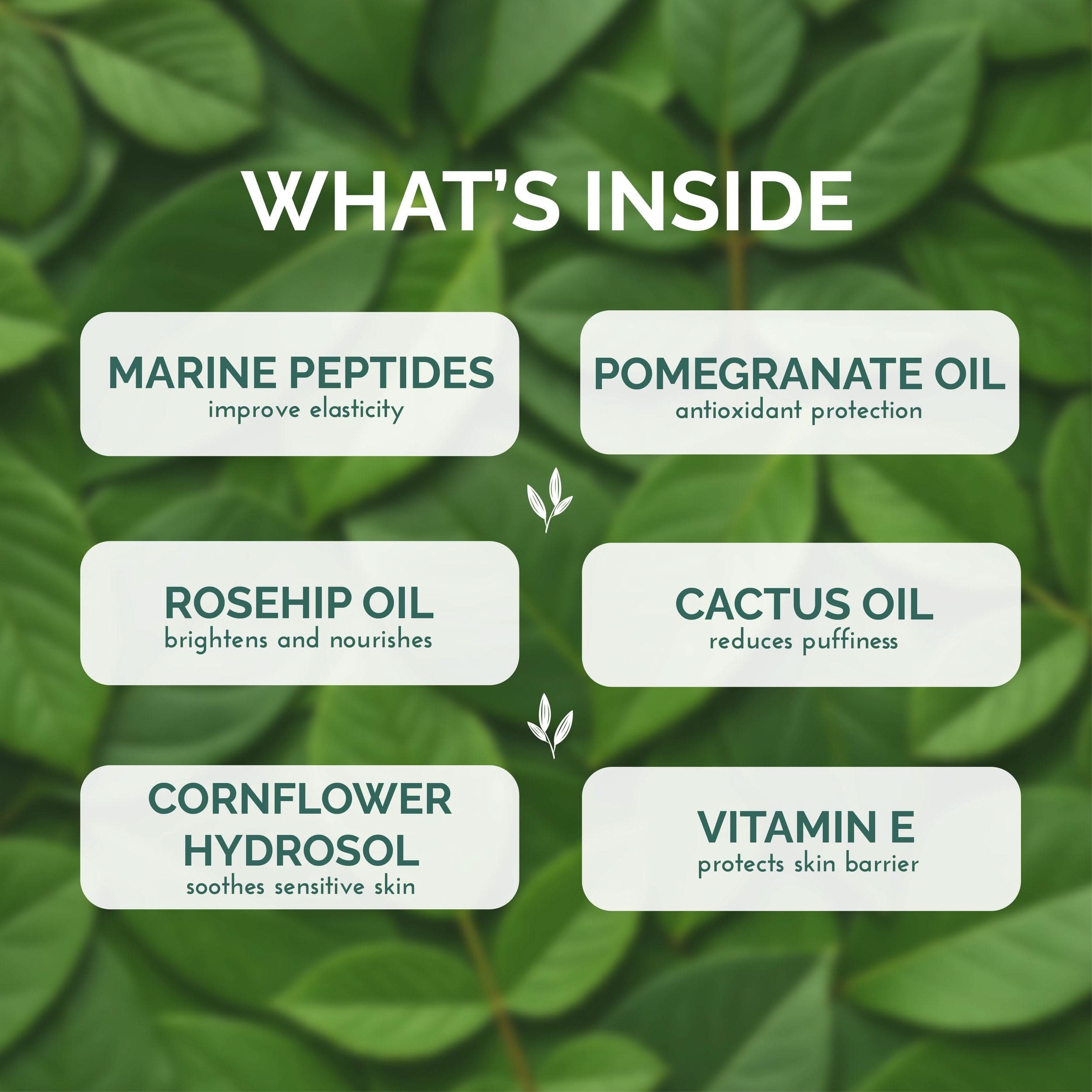 List of skincare ingredients with their benefits on a green leafy background