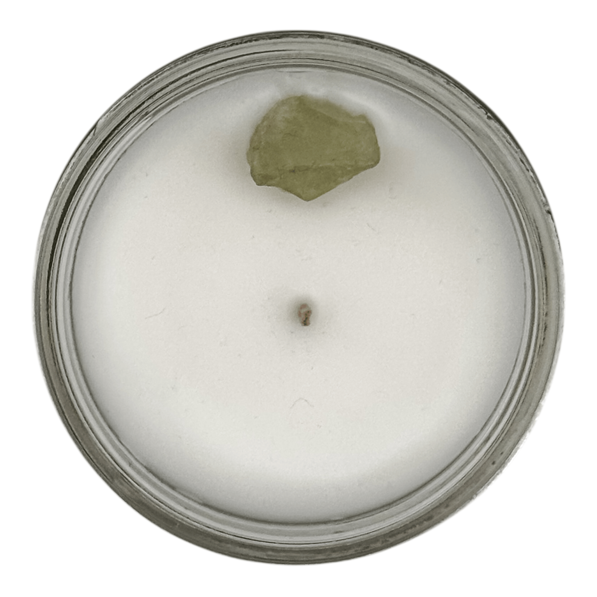 Moth to Flame Candles Candles Tranquility – 7 oz Candle