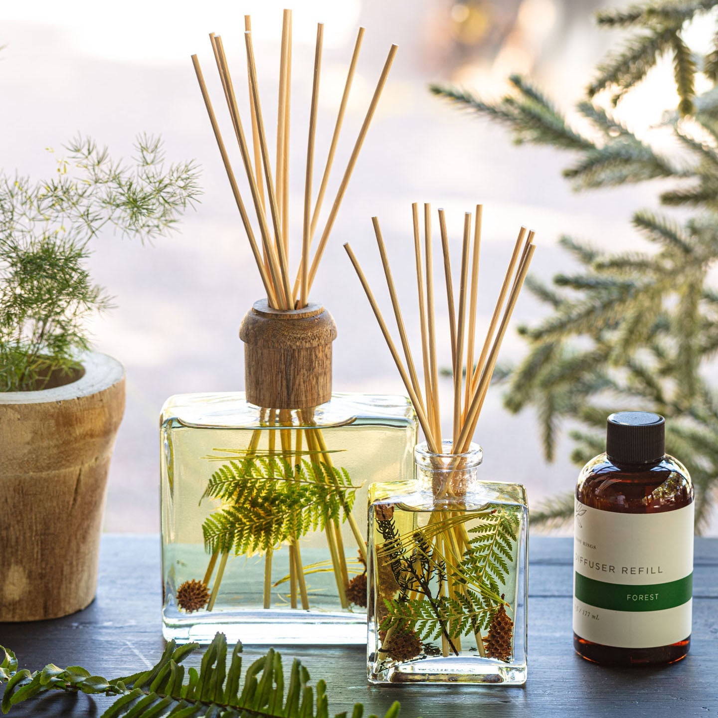Reed Diffuser Refill - Forest