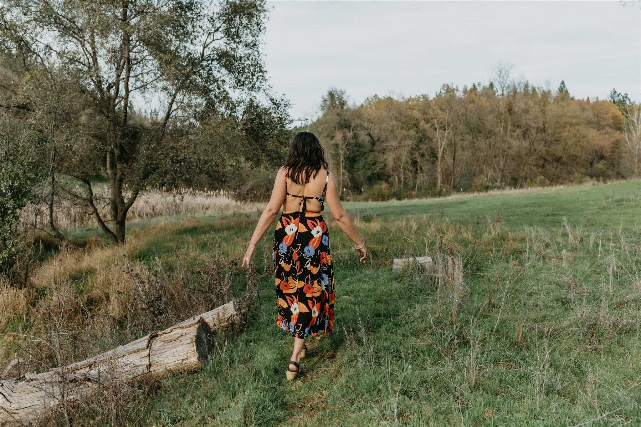 Field Day Dress Meadow Dress in Abstract Floral
