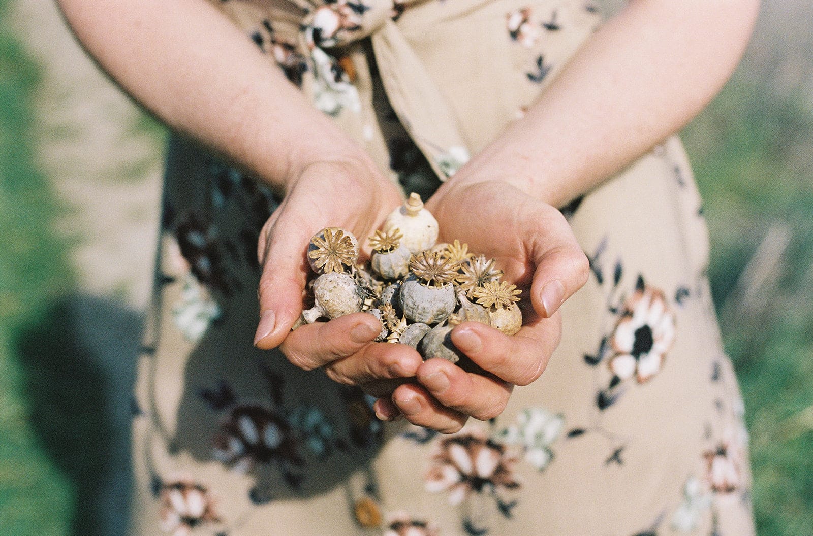 Field Day Dress Paloma Dress in Taupe Floral
