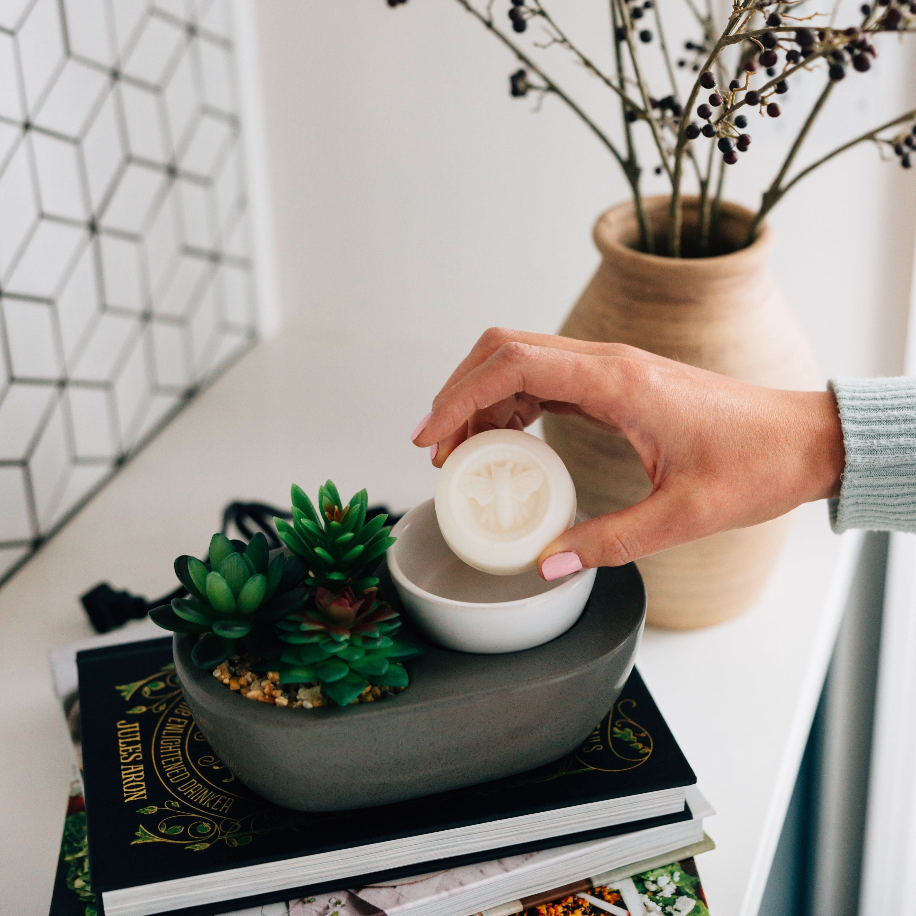 Pure Vanilla Wax Melts - My American Goods