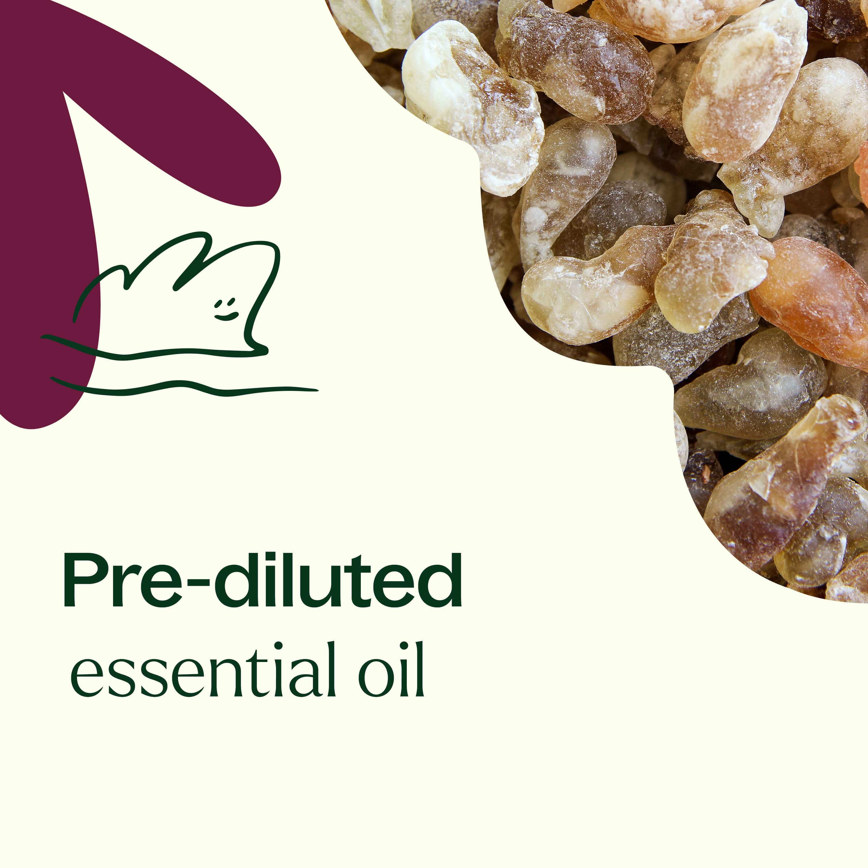 Plant Therapy Essential Oil 10 mL Frankincense Carterii Essential Oil Pre-Diluted Roll-On