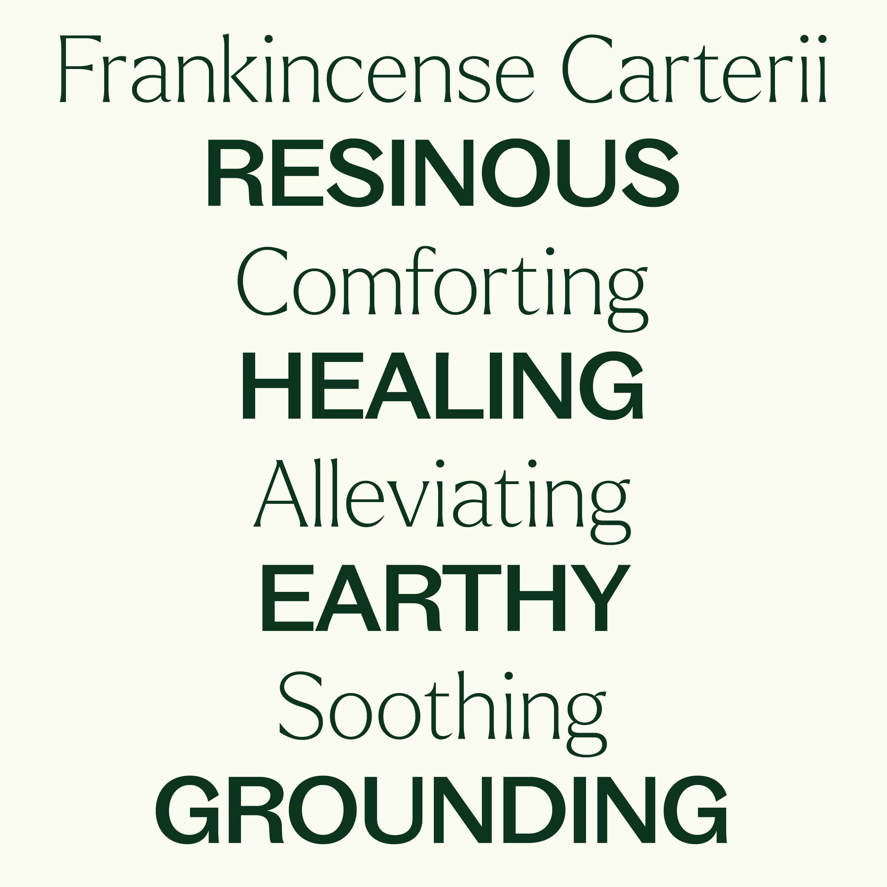 Plant Therapy Essential Oil 10 mL Frankincense Carterii Essential Oil Pre-Diluted Roll-On