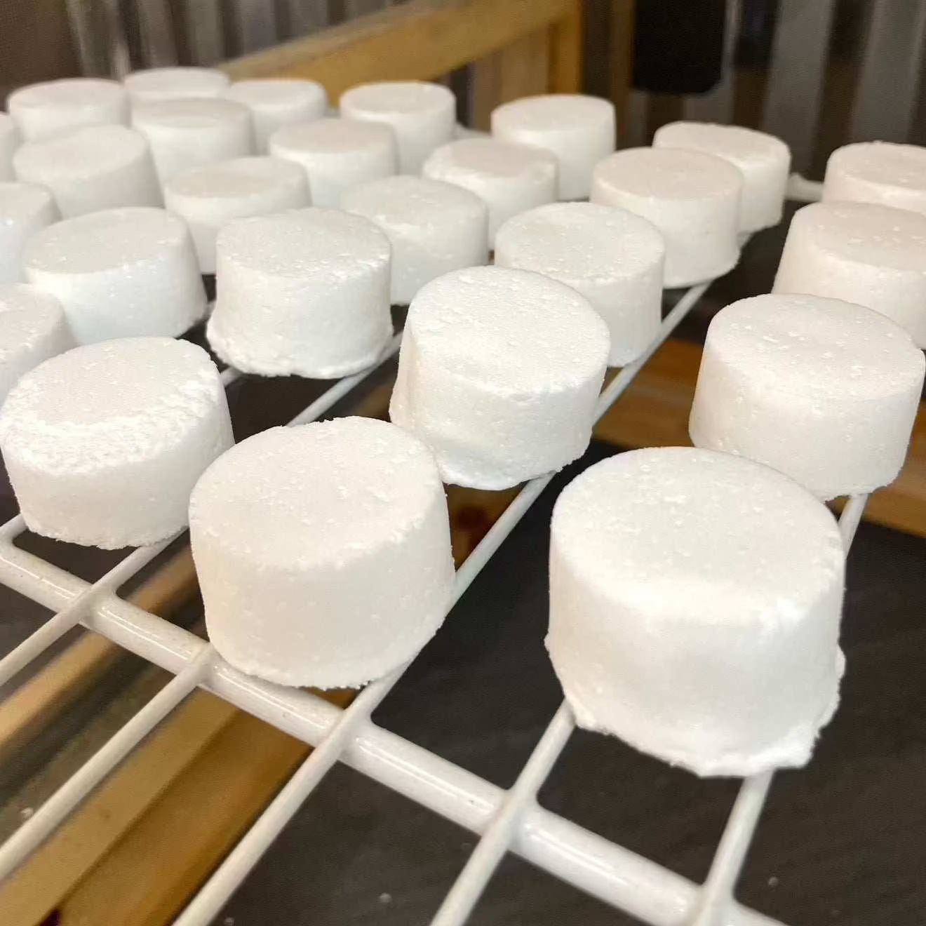 Toilet Fizzies - Clean & Refresh
