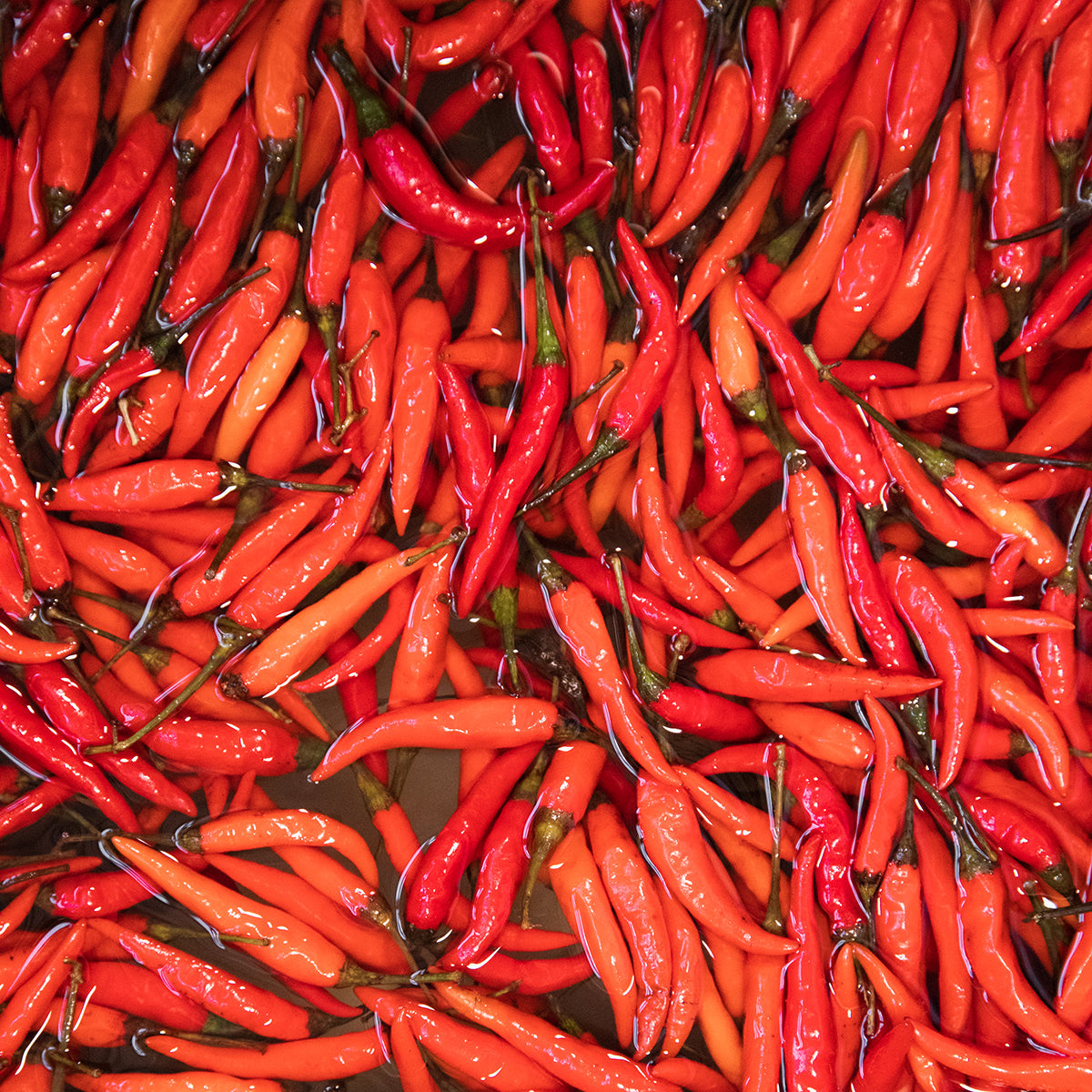 Fresno & Thai Spicy Chili Jam