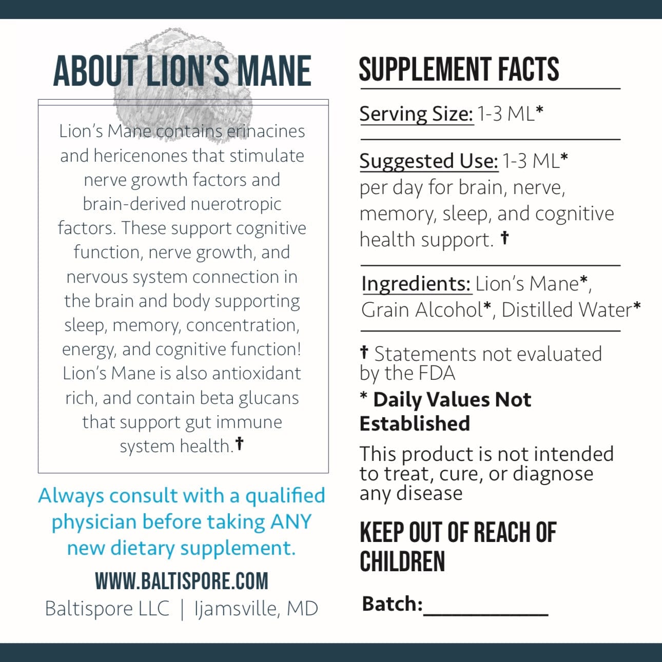 Lion’s Mane Mushroom Tincture - My American Goods