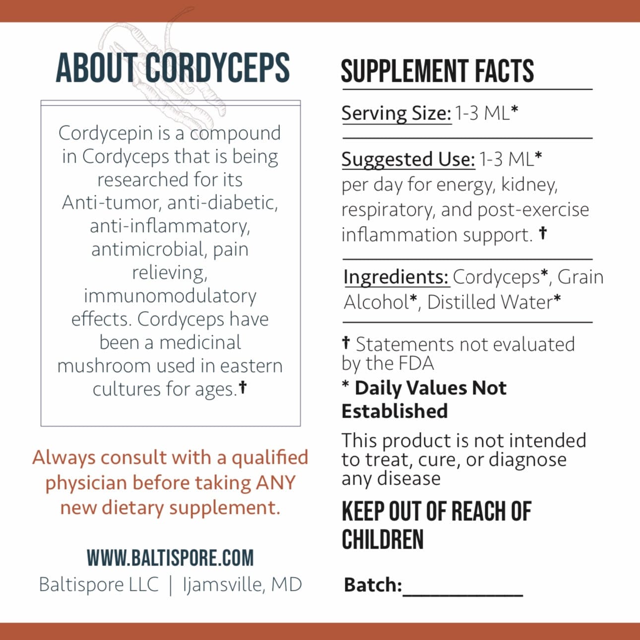 BaltiSpore Tincture Cordyceps Mushroom Tincture