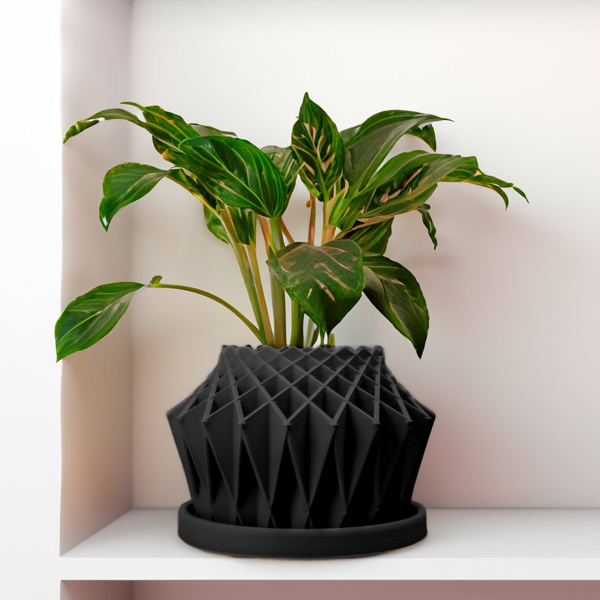 Rosebud HomeGoods Pots & Planters Black / 4 Inch - No Tray Galaxy Groove Plant Pot